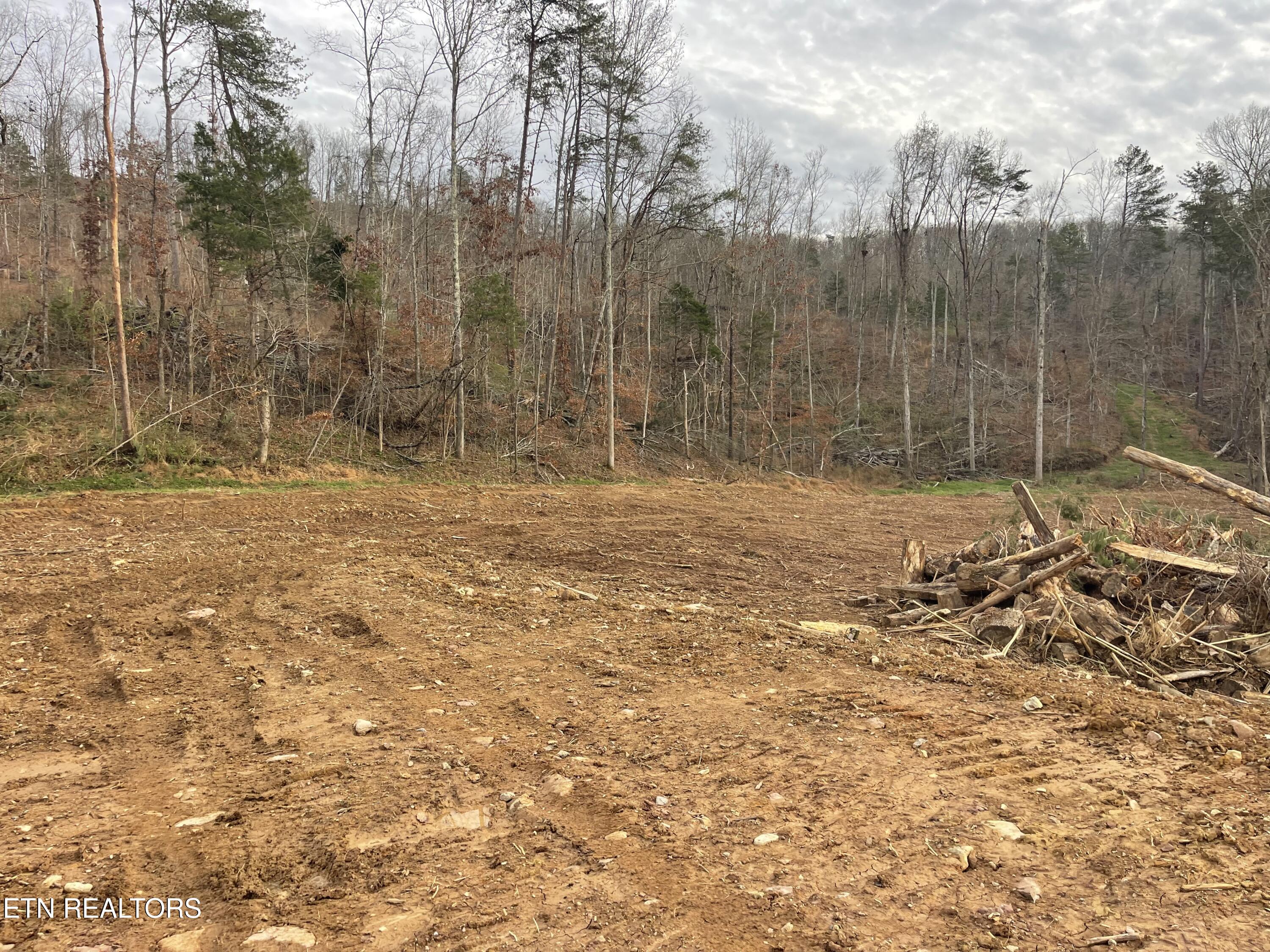 1.70 Acres Robbies Lane Decatur TN 37322