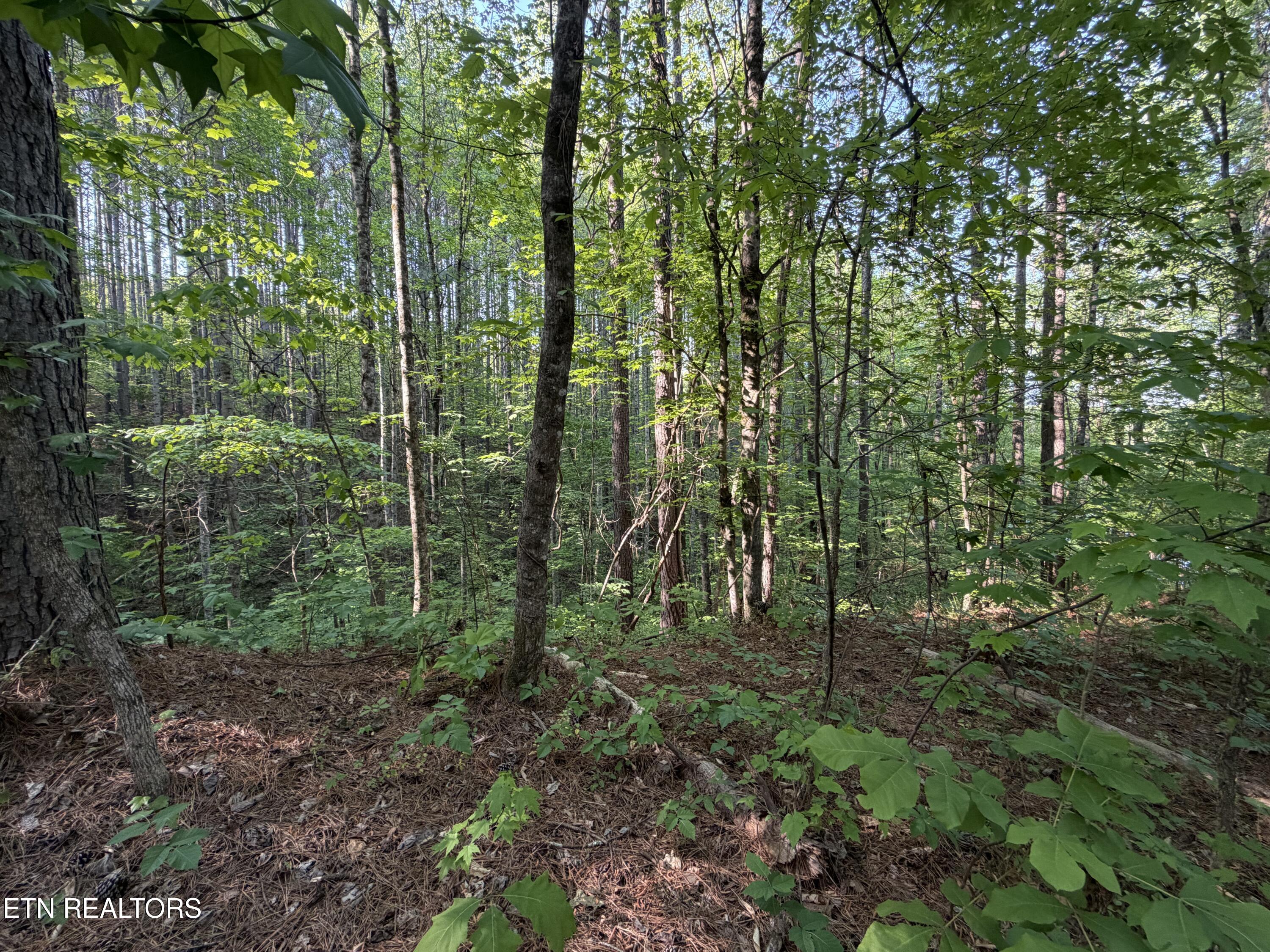 3 Three Point Road Vonore TN 37885