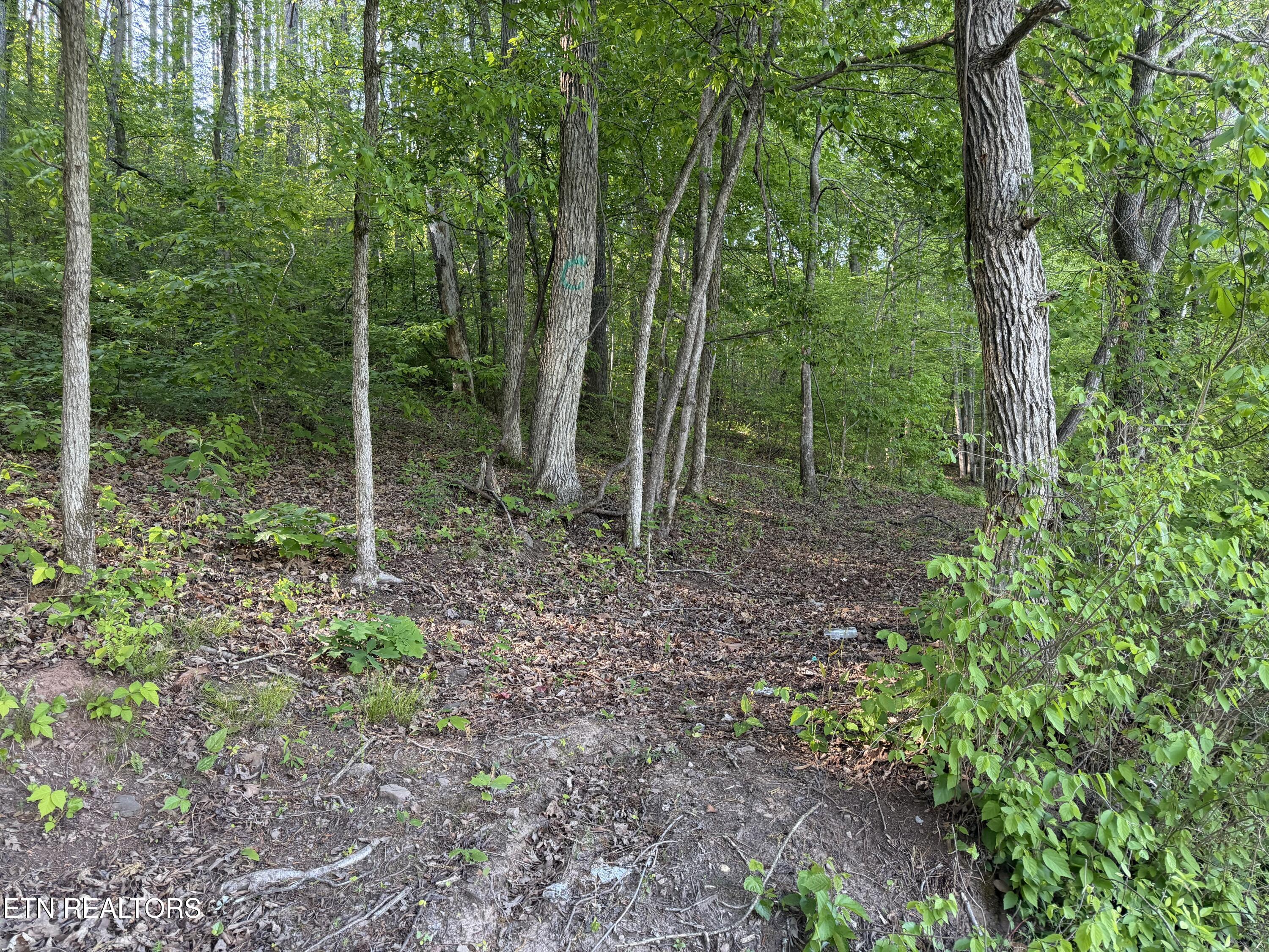 3 Three Point Road Vonore TN 37885
