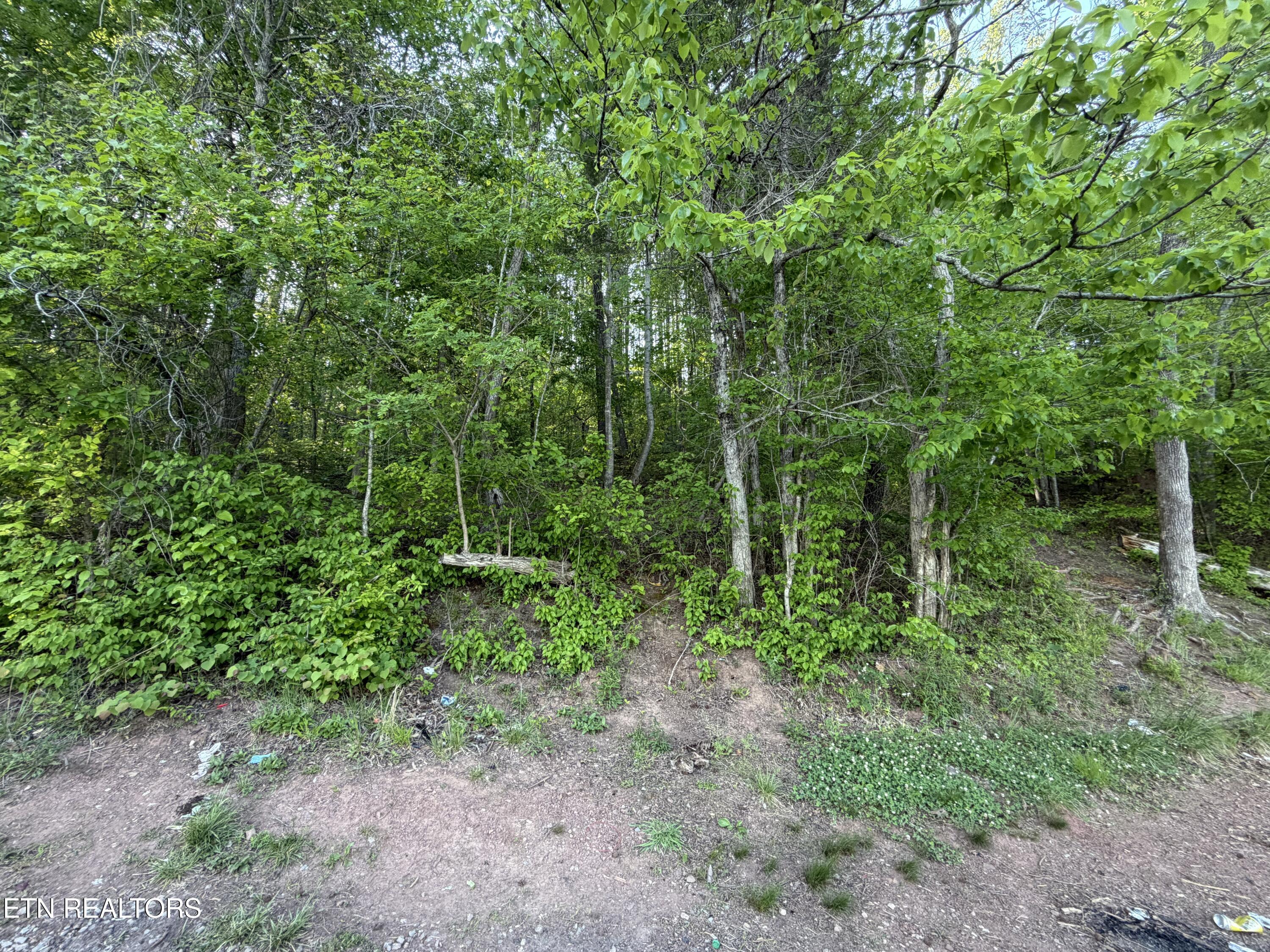 3 Three Point Road Vonore TN 37885