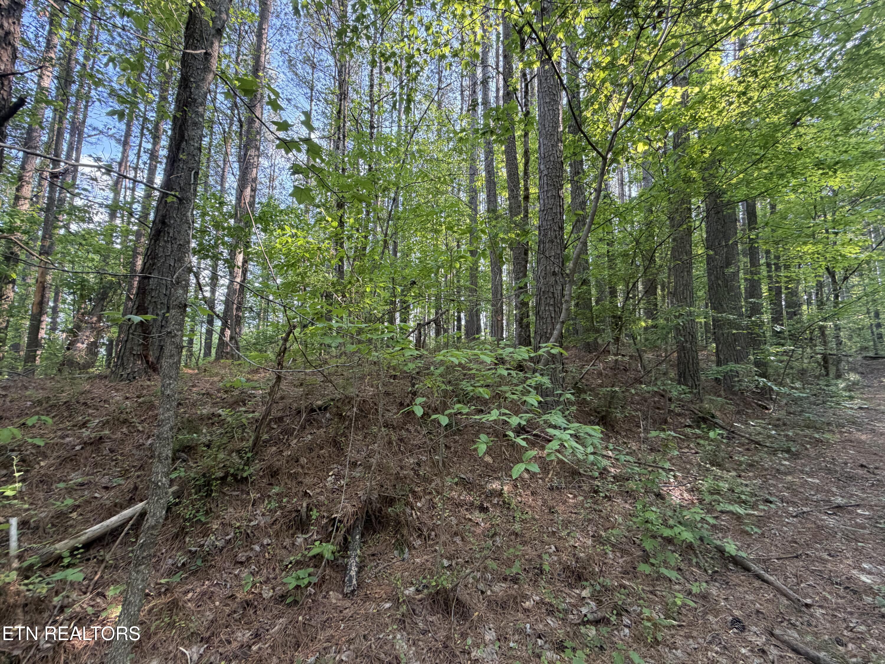 3 Three Point Road Vonore TN 37885