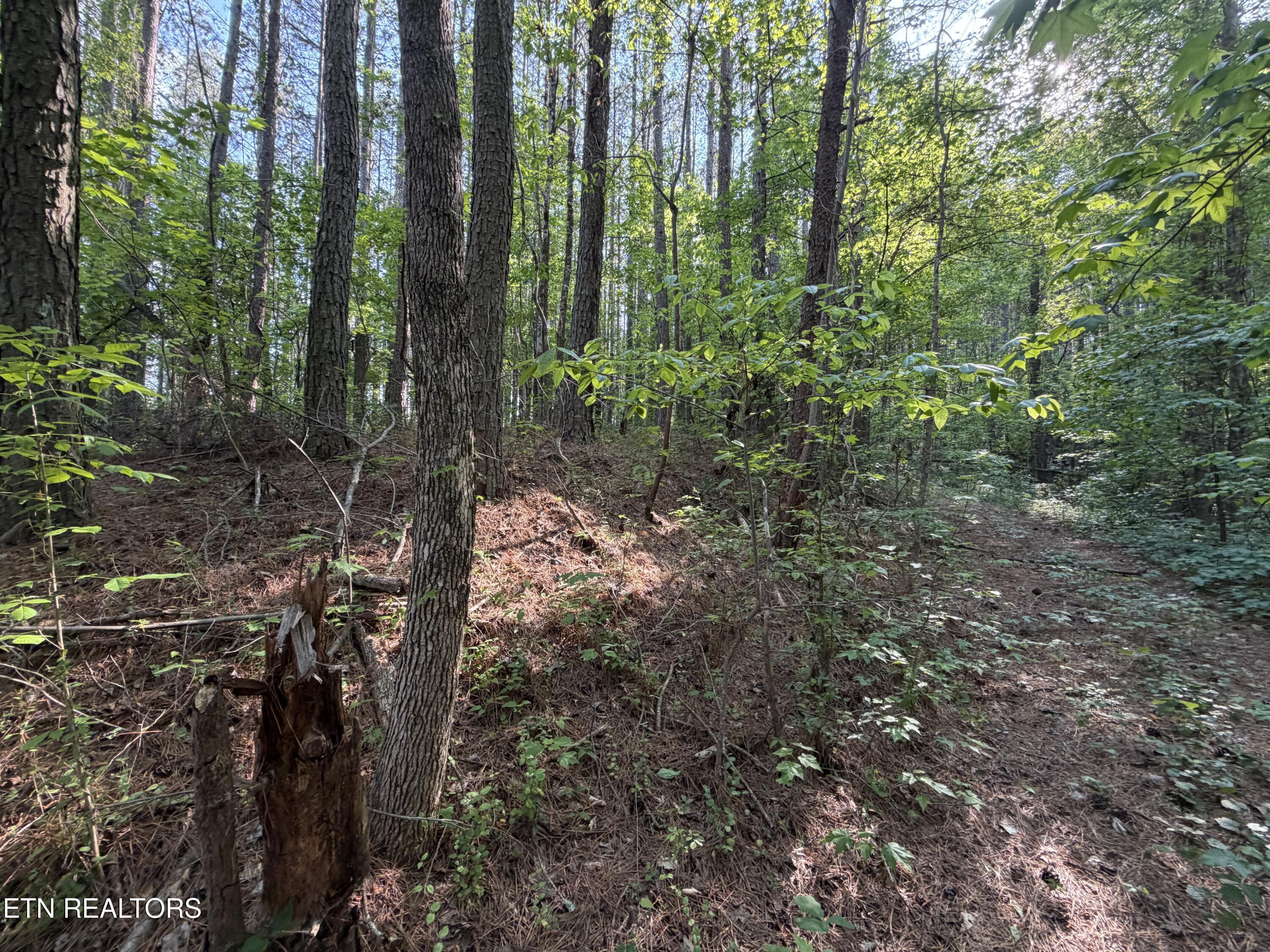 3 Three Point Road Vonore TN 37885