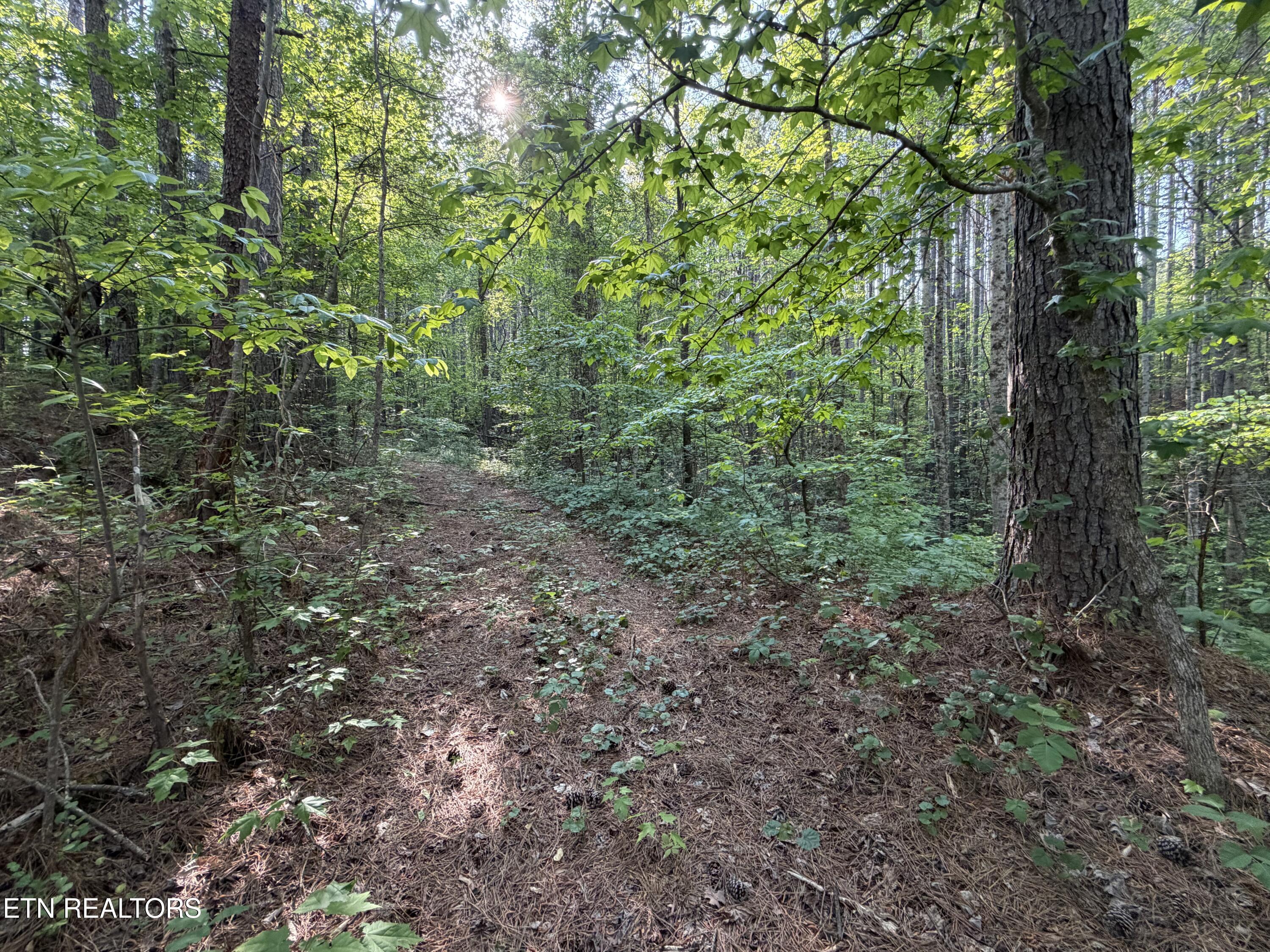 3 Three Point Road Vonore TN 37885