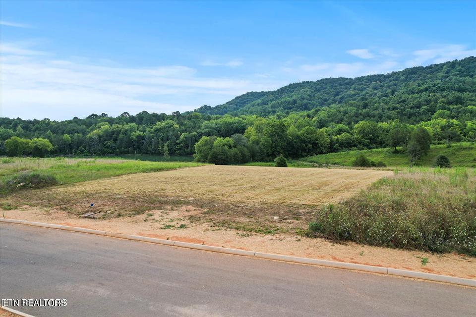 Lot 24 Waterfront Knoll Sharps Chapel TN 37866