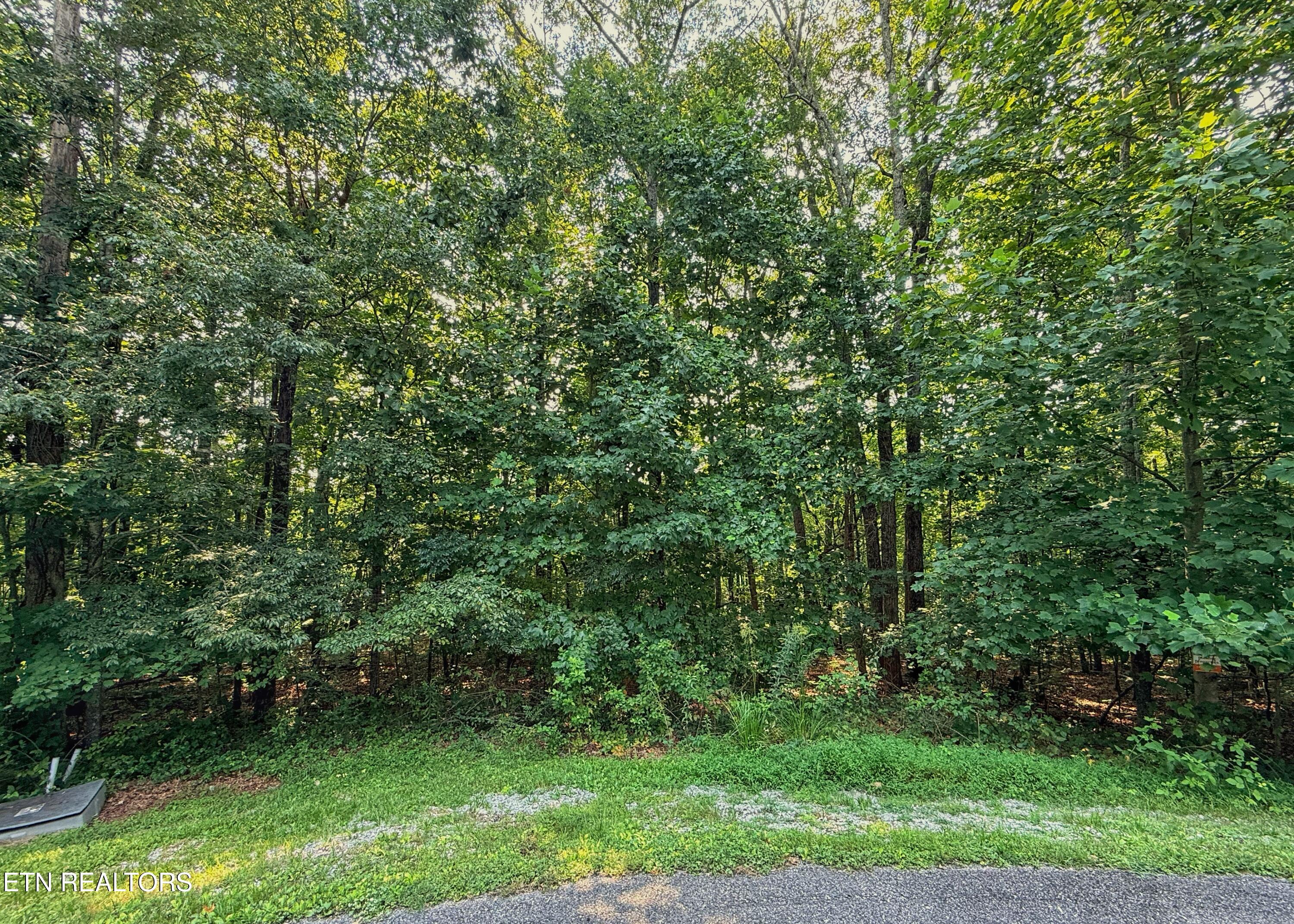Spruce Court - Lot 32 Crossville TN 38571