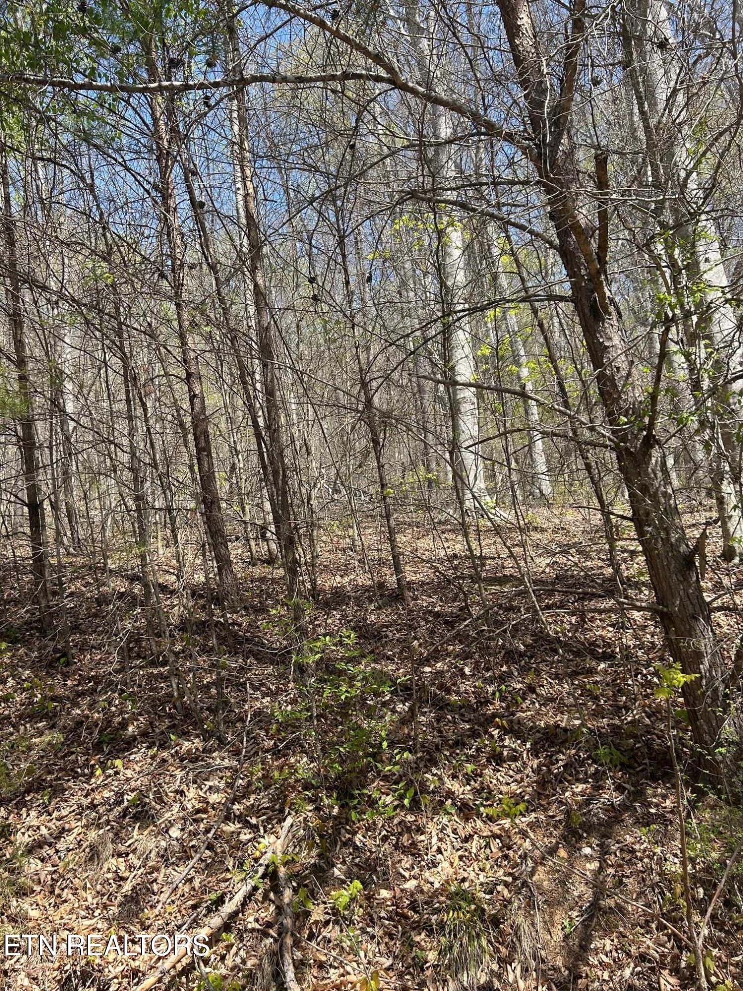 Lot 3 Jones Ridge Road Speedwell TN 37870