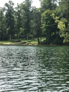 Lot 3 Jones Ridge Road Speedwell TN 37870