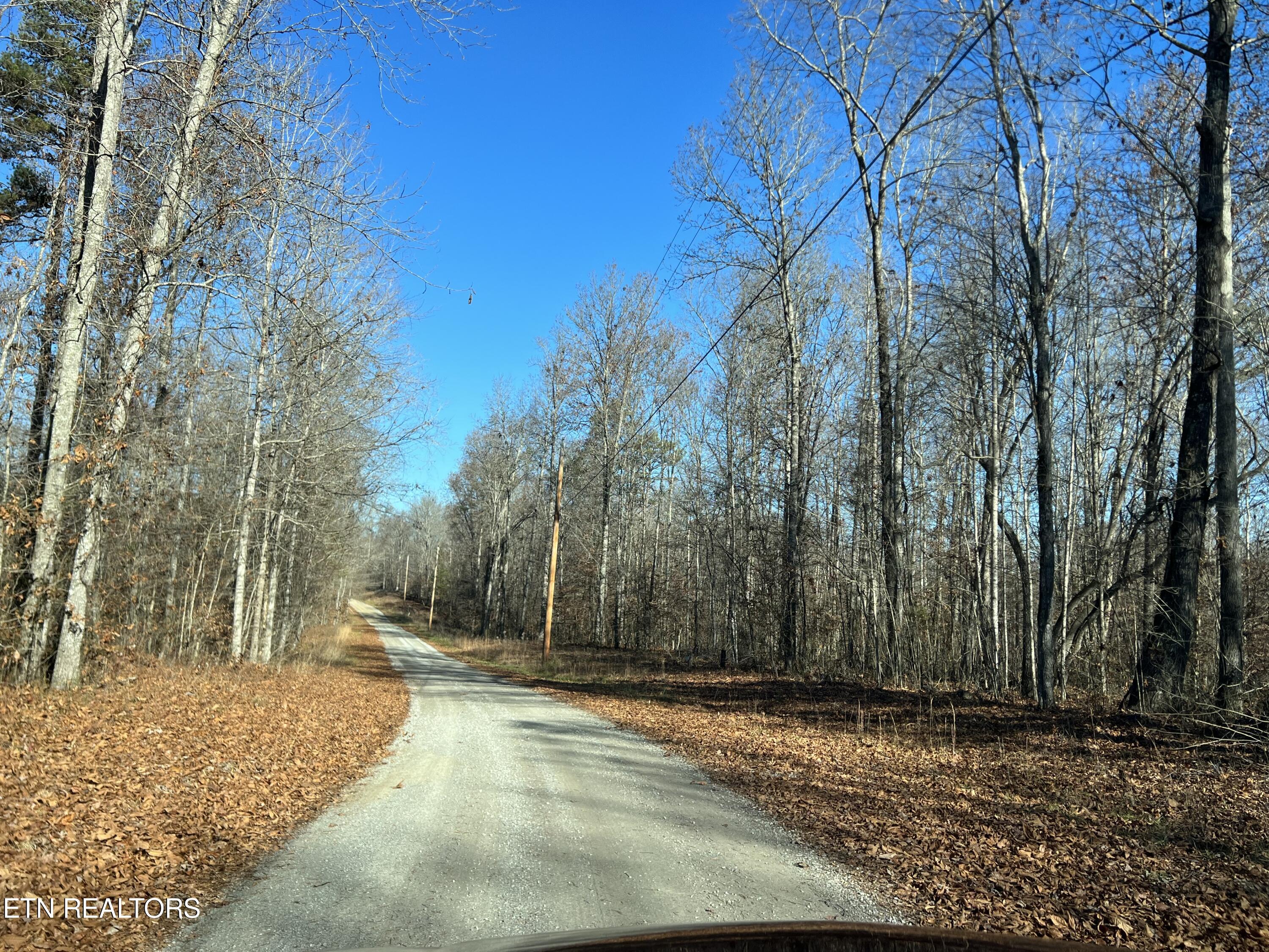 Lot 3 Jones Ridge Road Speedwell TN 37870