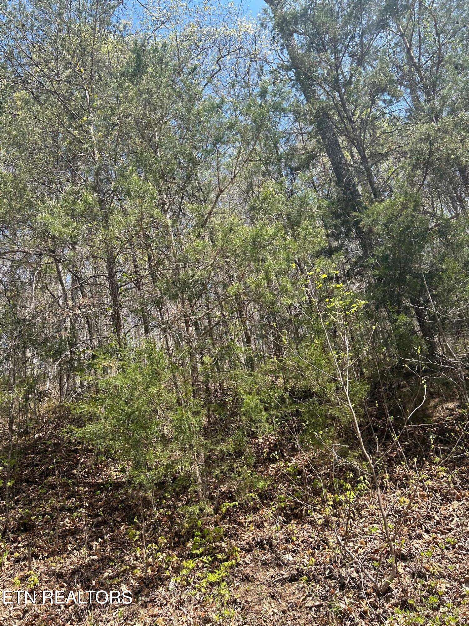 Lot 3 Jones Ridge Road Speedwell TN 37870