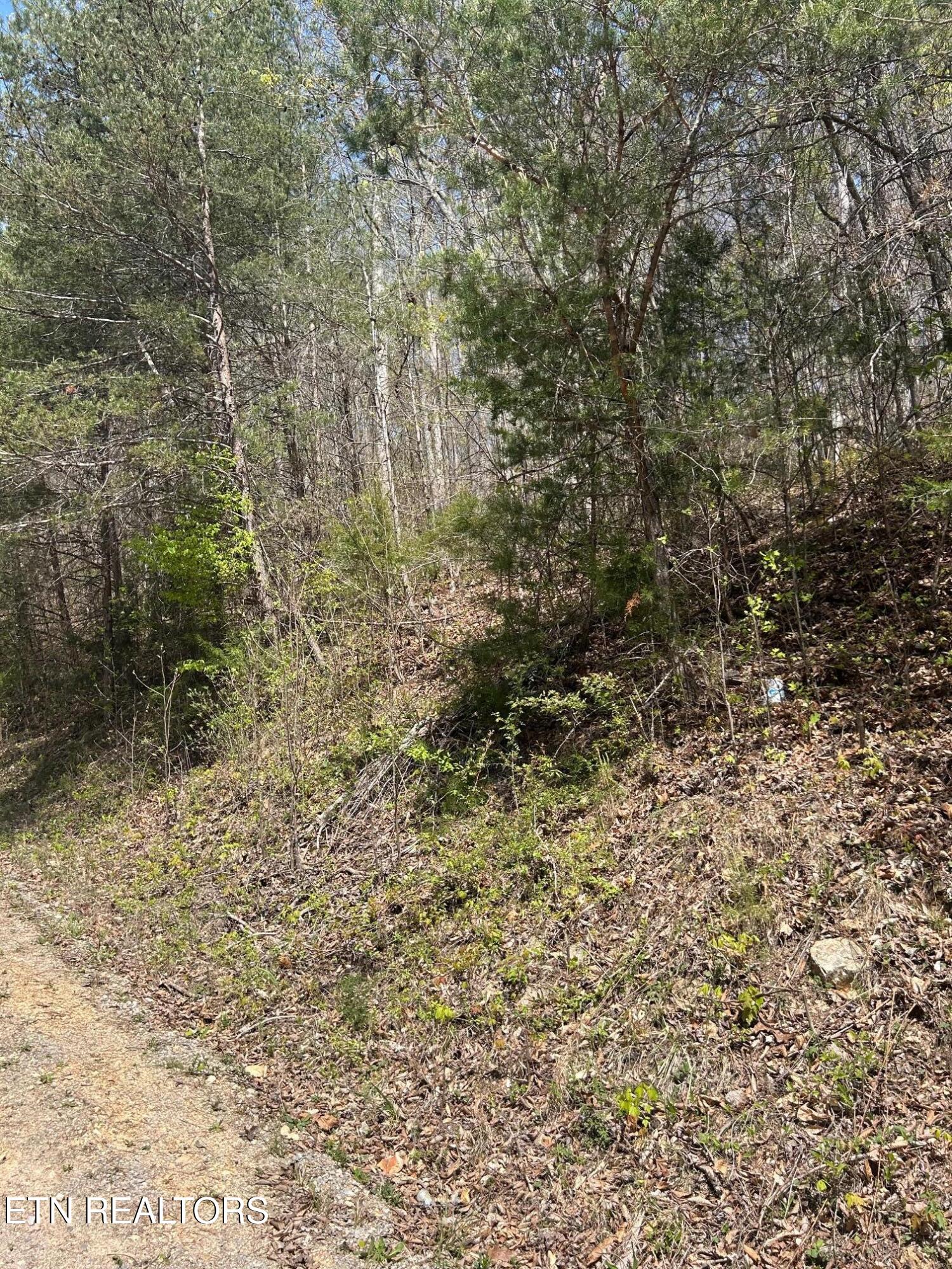 Lot 3 Jones Ridge Road Speedwell TN 37870