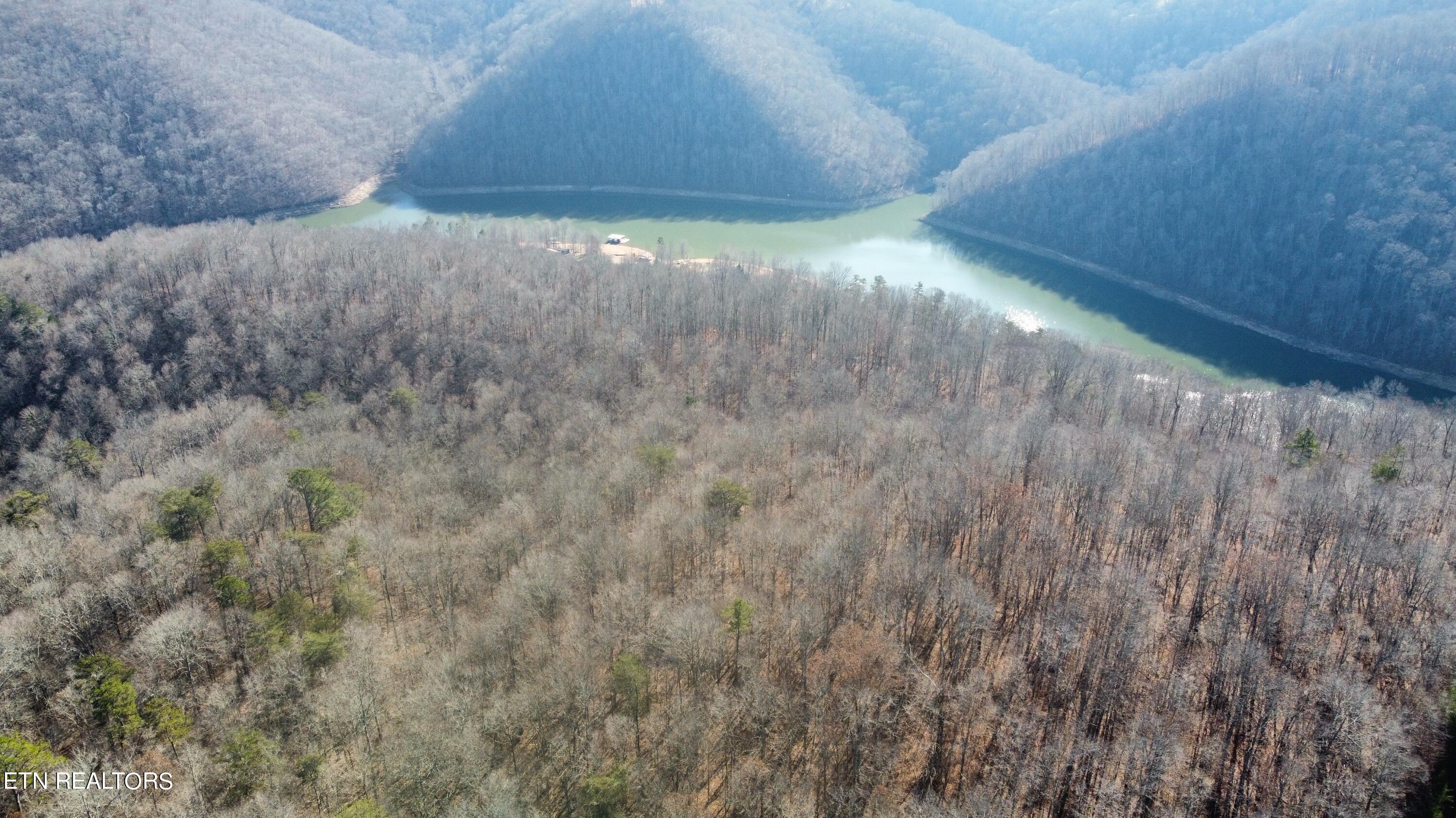 Lot 3 Jones Ridge Road Speedwell TN 37870