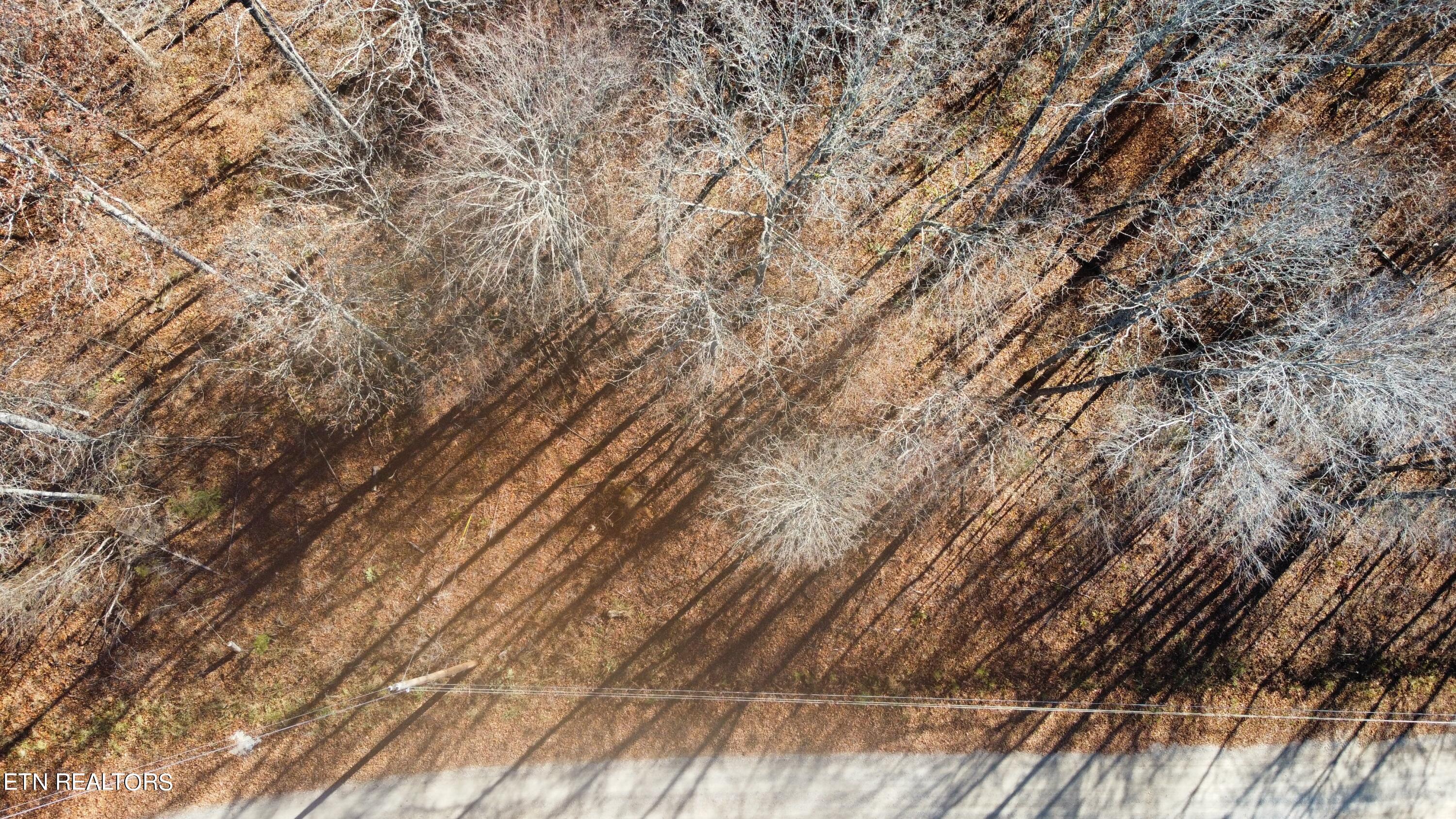 Lot 3 Jones Ridge Road Speedwell TN 37870