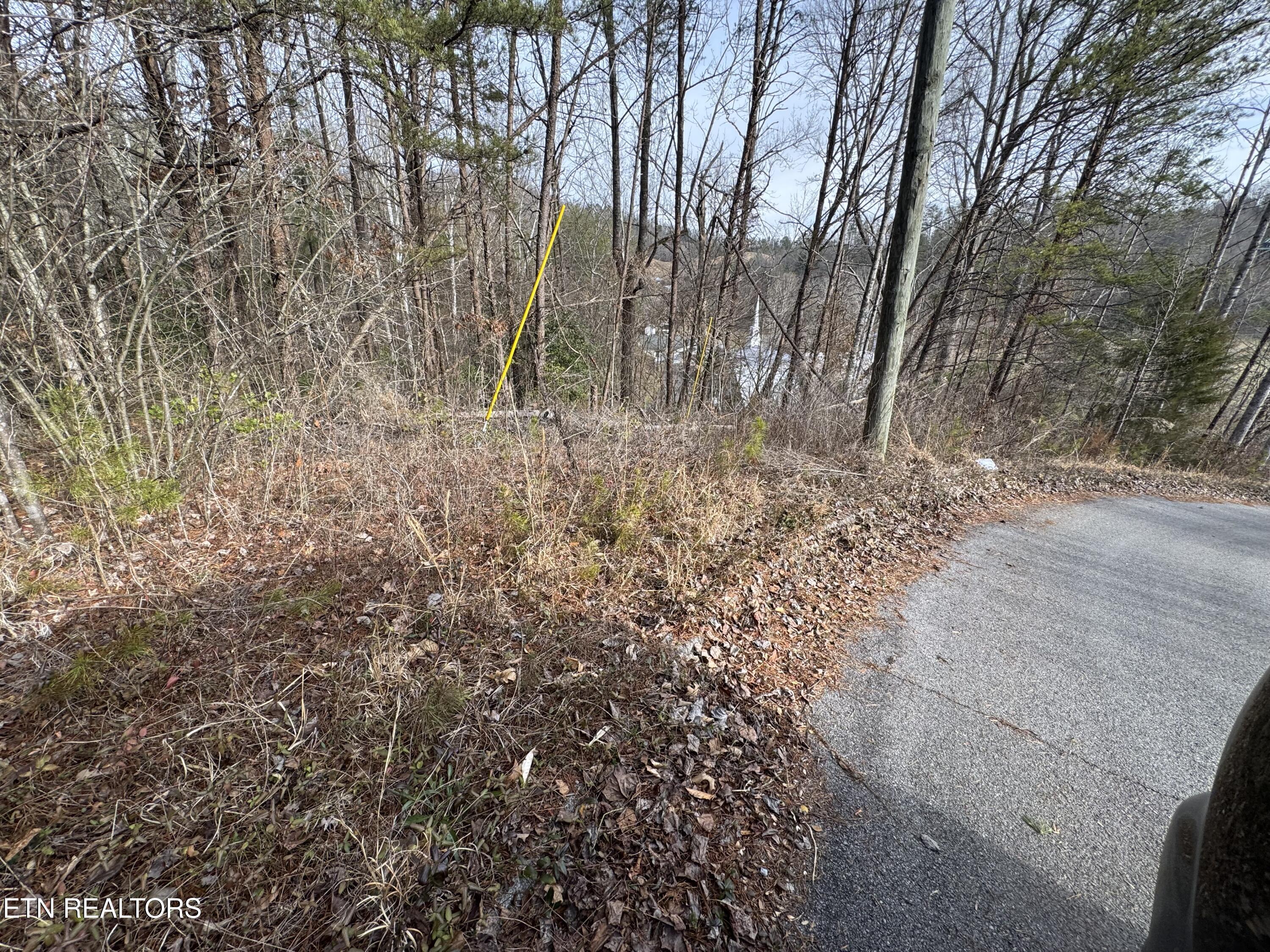 Lot 14 Katelyns Lane Sevierville TN 37876