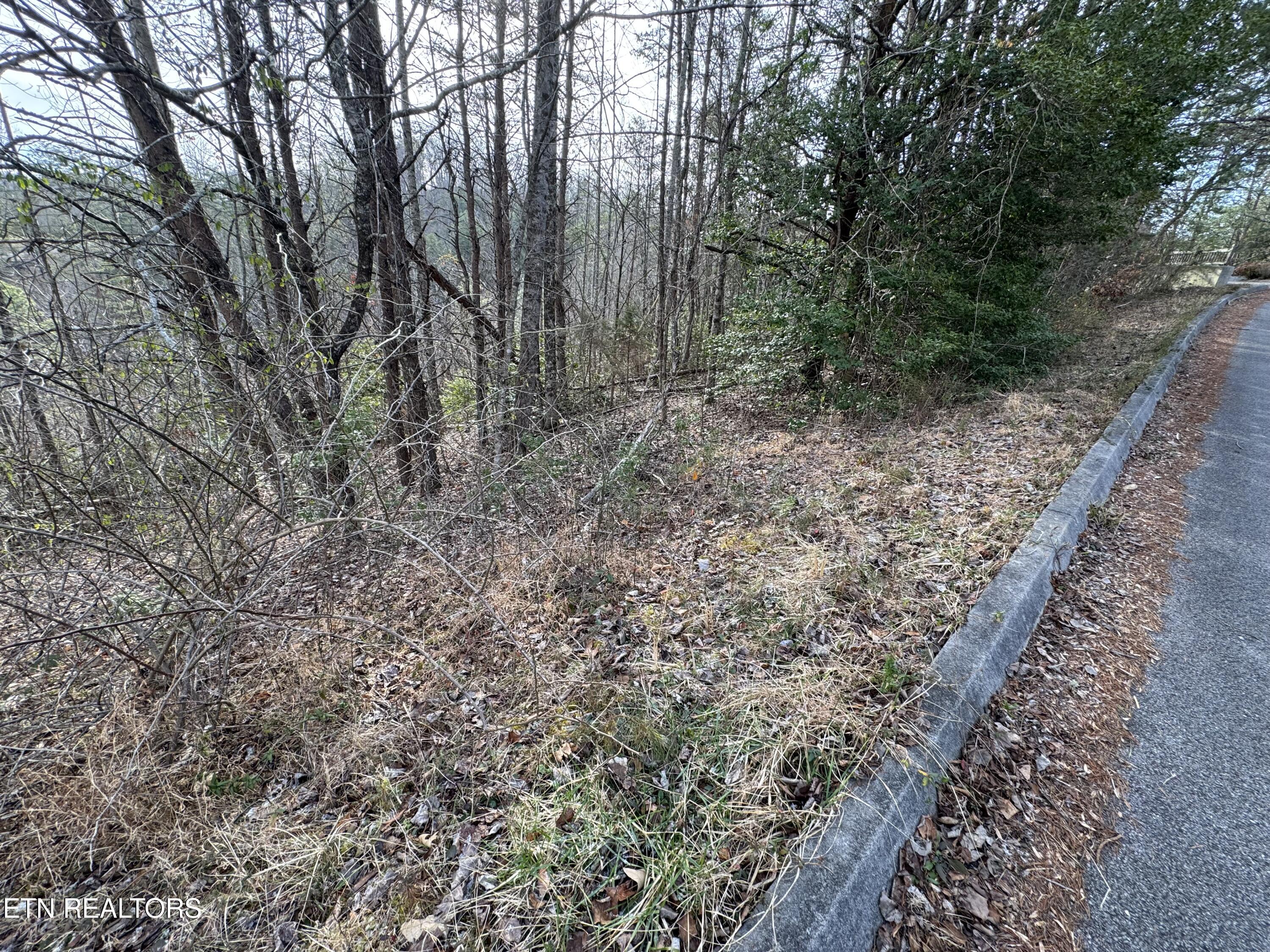 Lot 14 Katelyns Lane Sevierville TN 37876