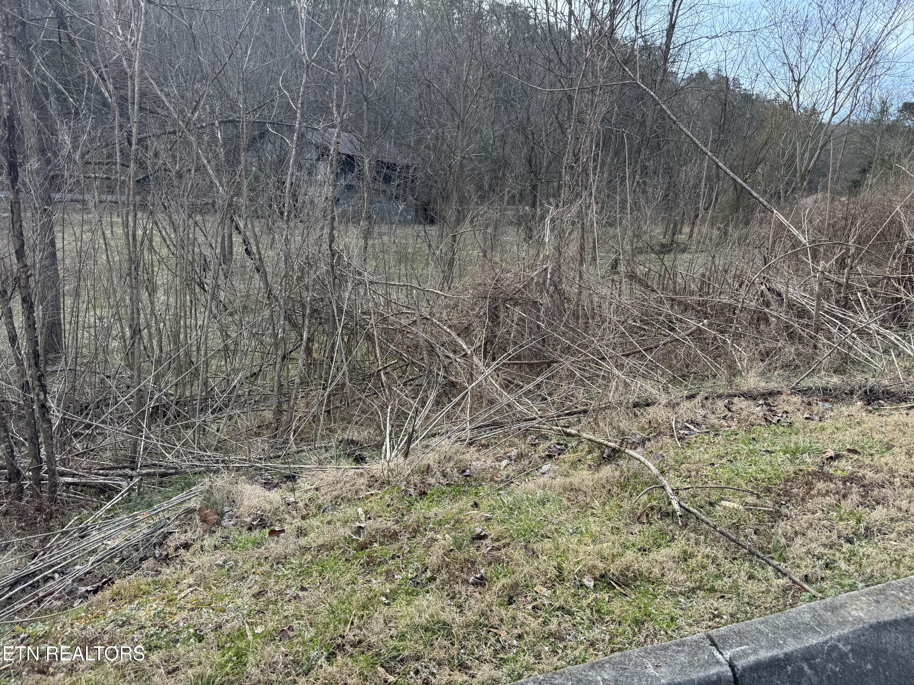 Lot 14 Katelyns Lane Sevierville TN 37876