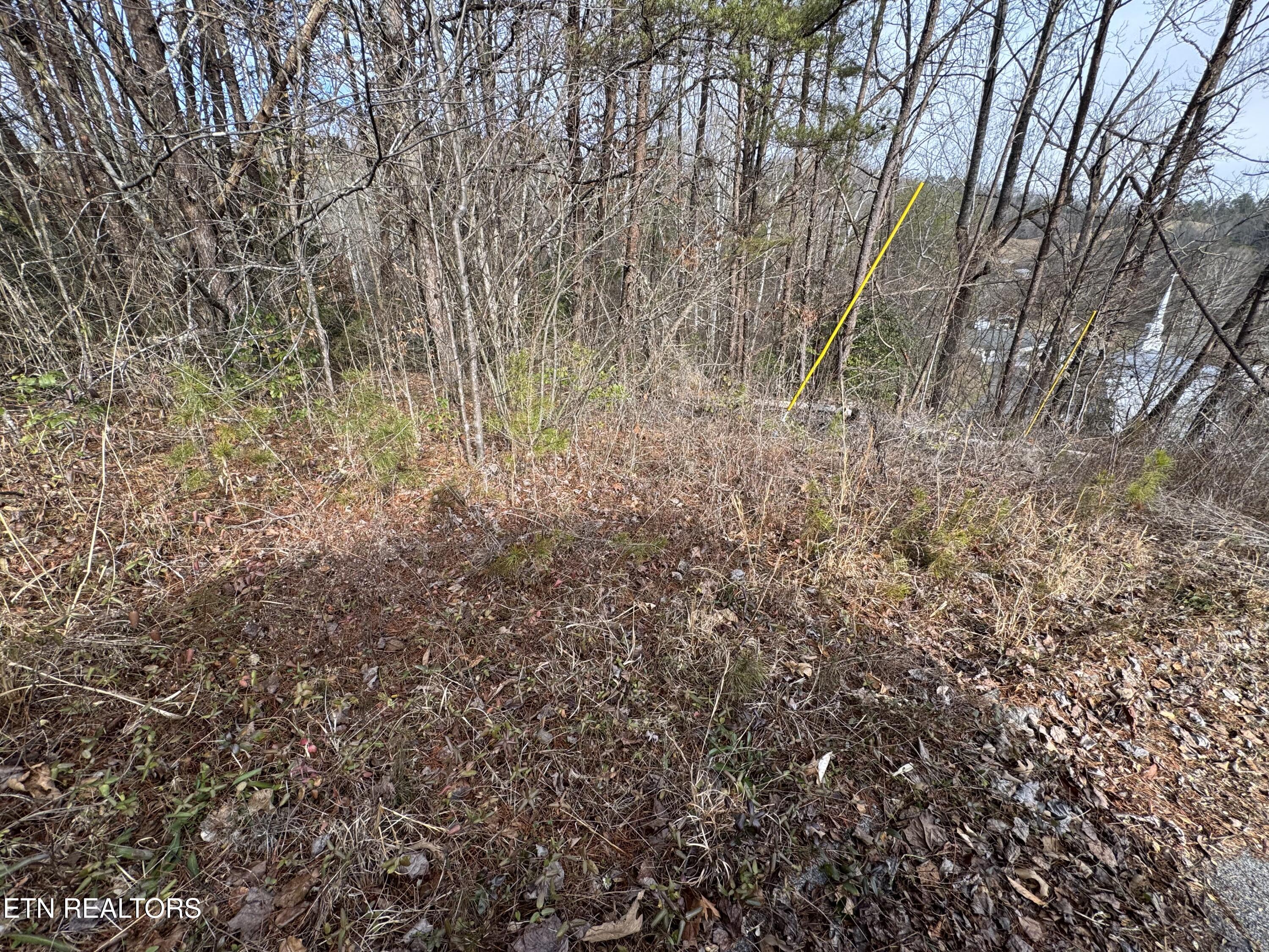 Lot 14 Katelyns Lane Sevierville TN 37876
