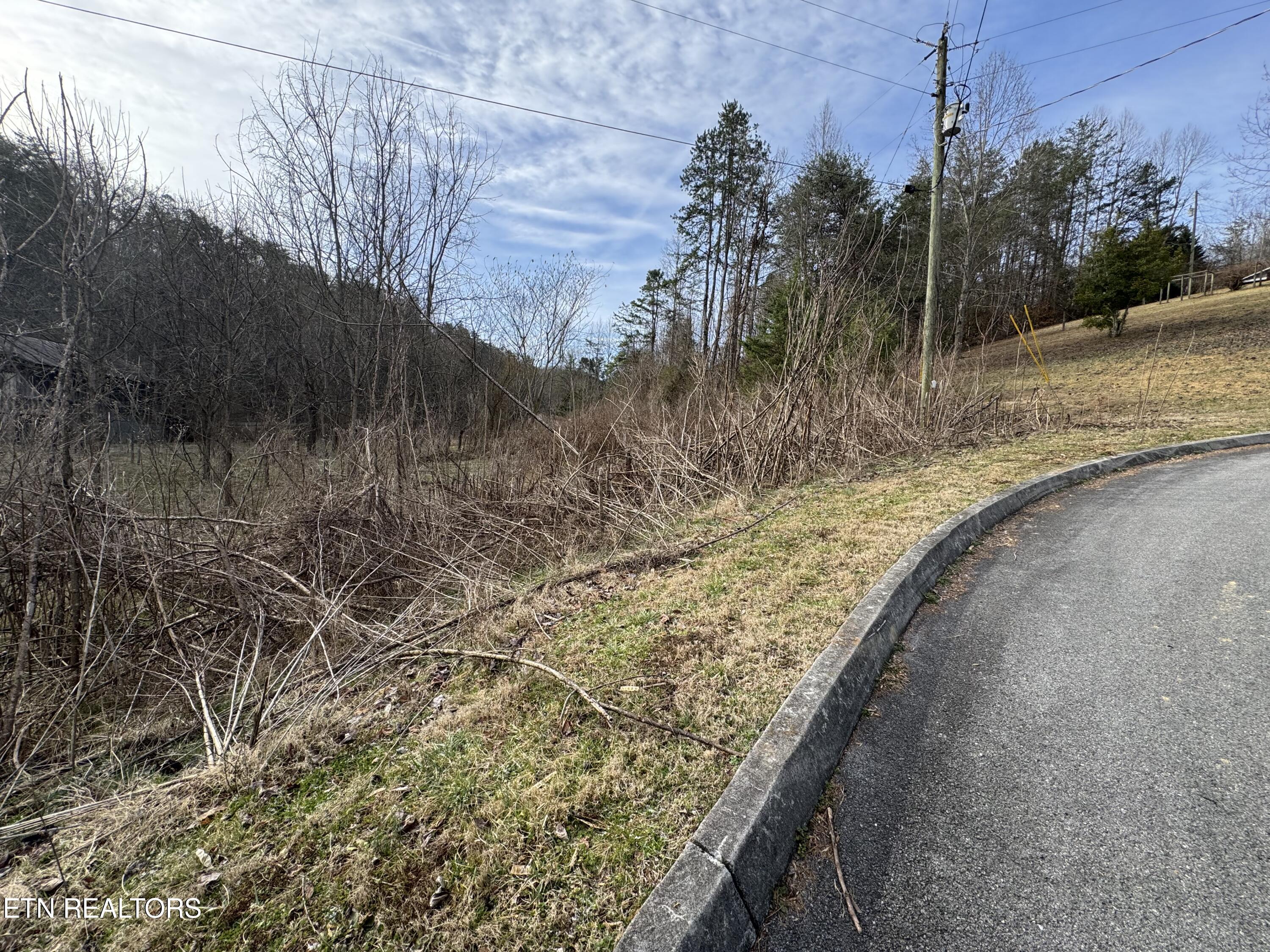 Lot 14 Katelyns Lane Sevierville TN 37876
