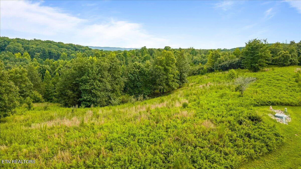 126 Emerald Pointe Circle Rockwood TN 37854