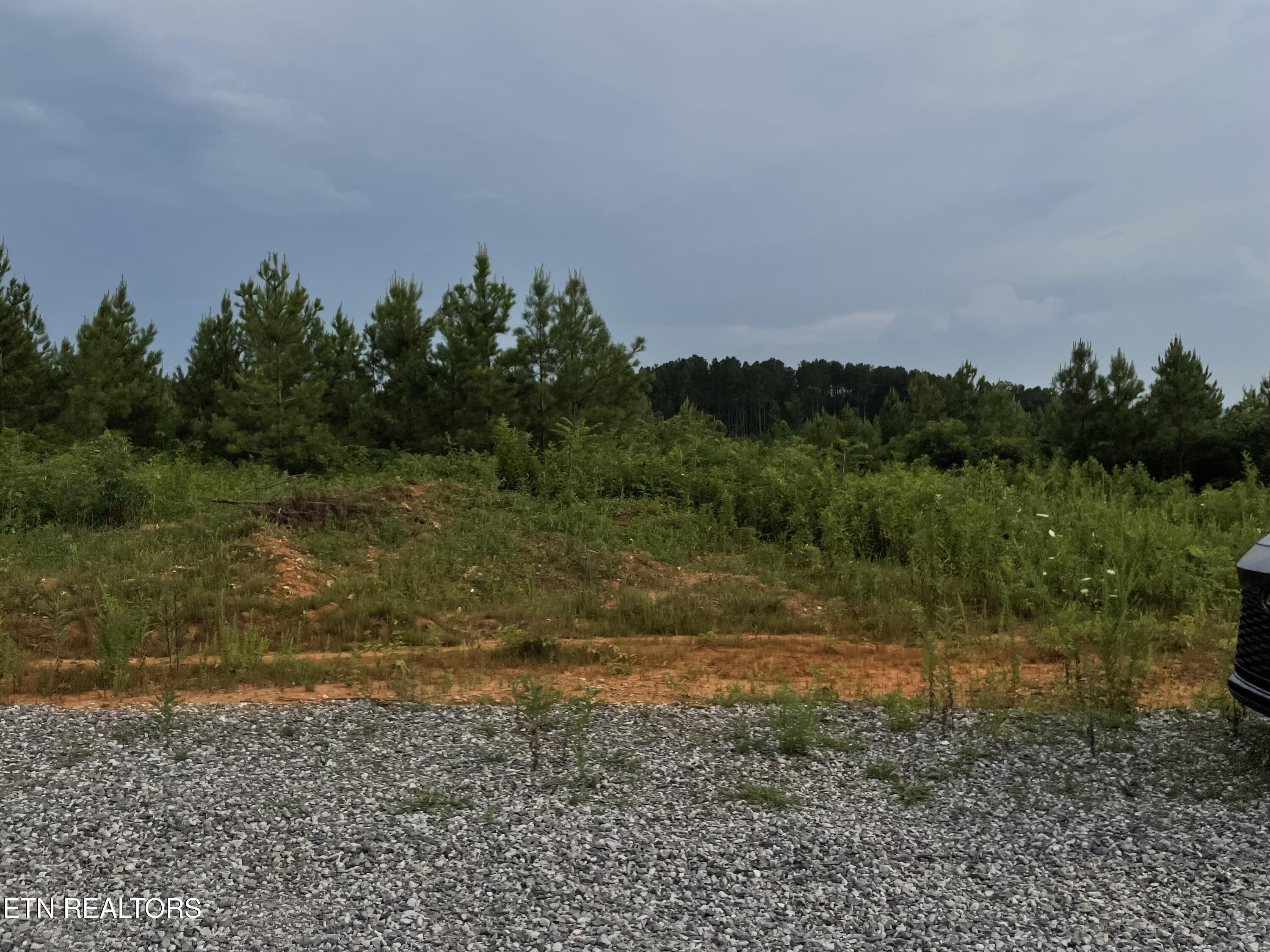 Lot 51 Three Point Road Madisonville TN 37354