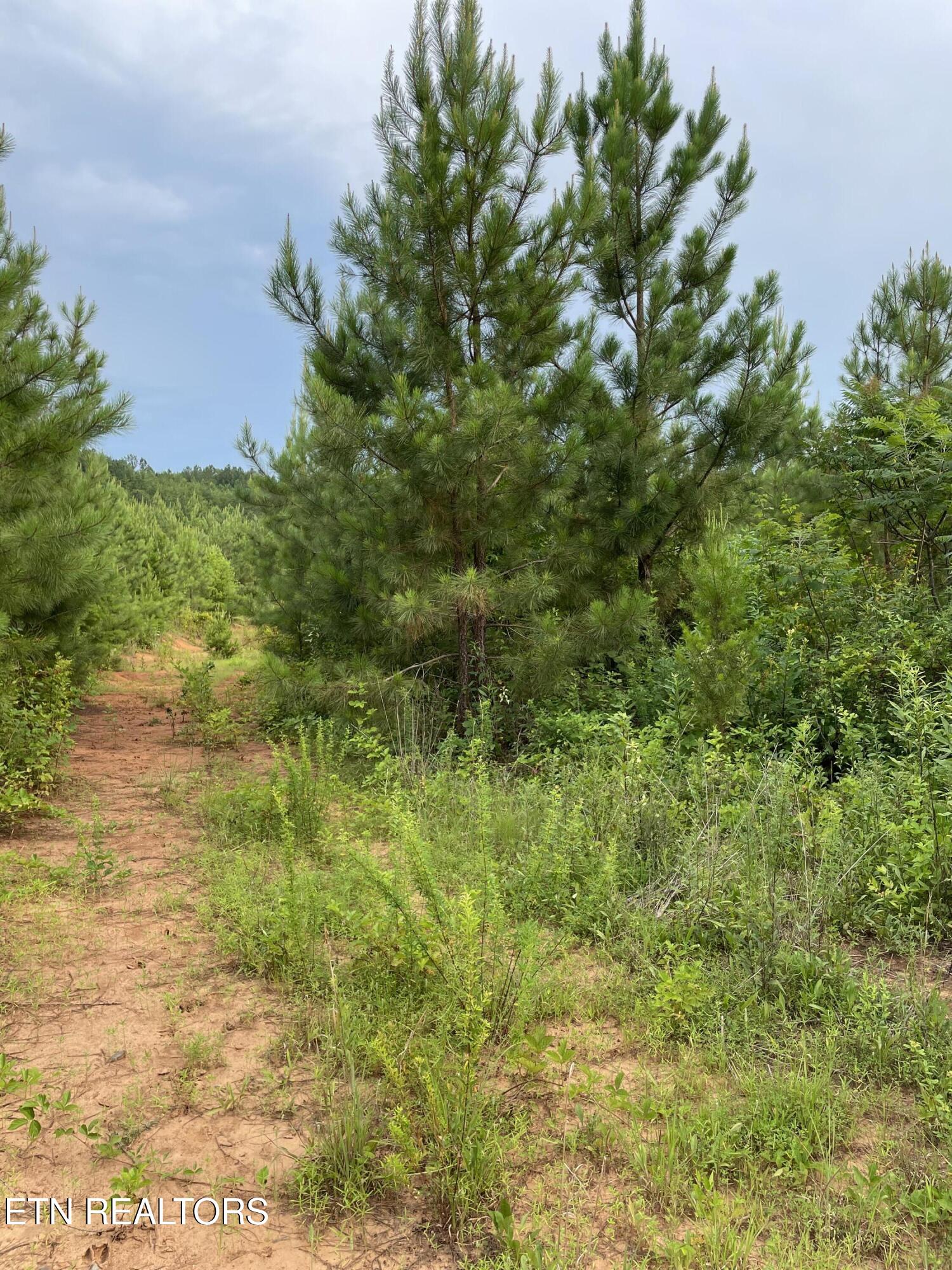 Lot 51 Three Point Road Madisonville TN 37354