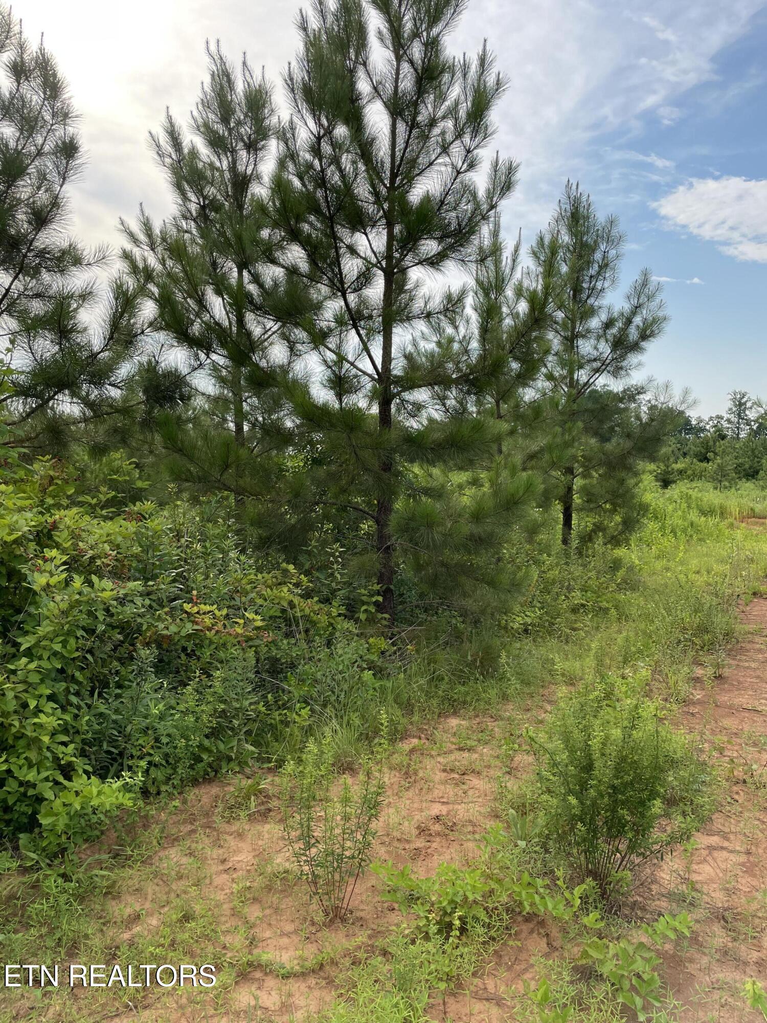 Lot 51 Three Point Road Madisonville TN 37354