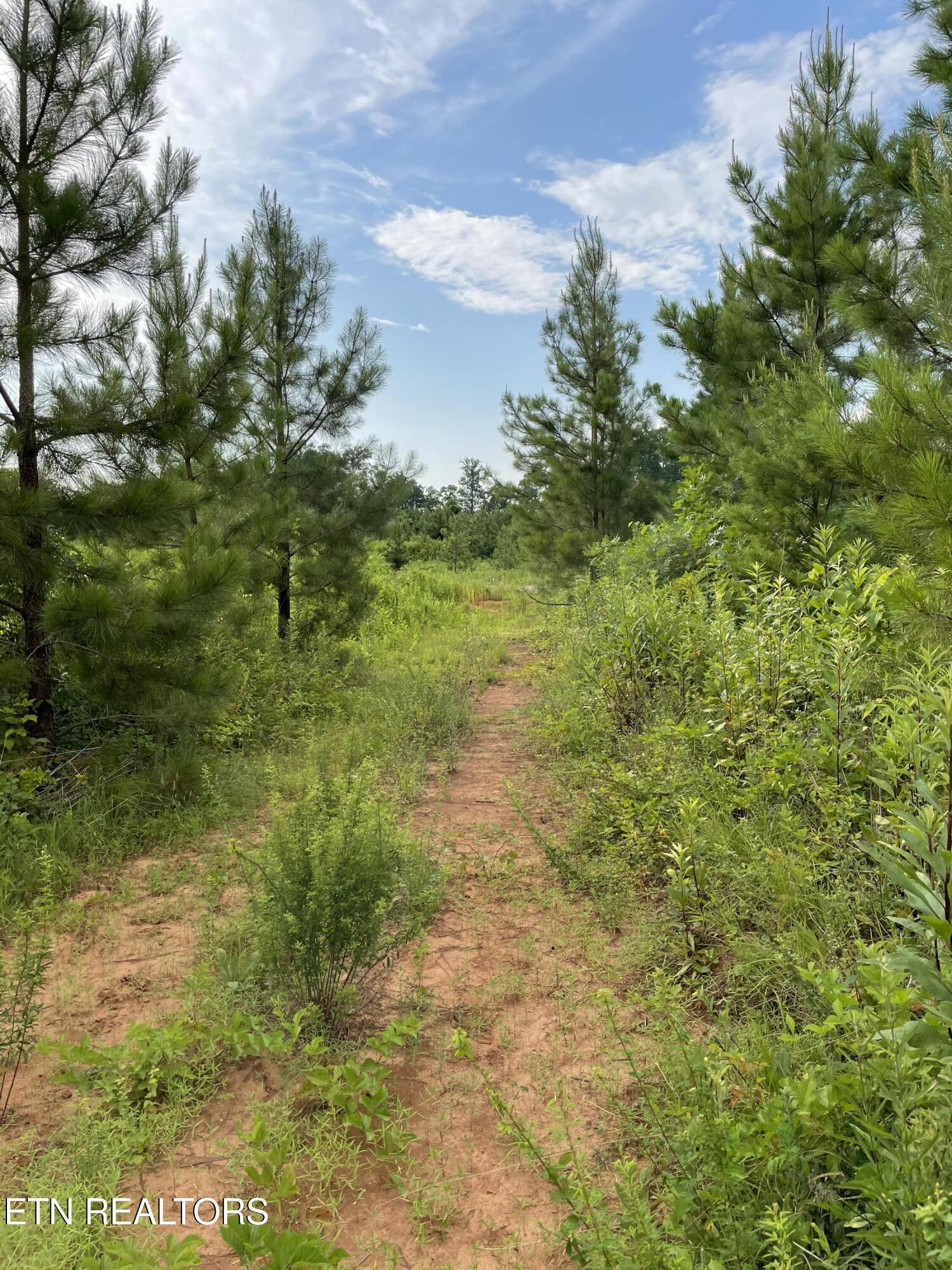 Lot 51 Three Point Road Madisonville TN 37354