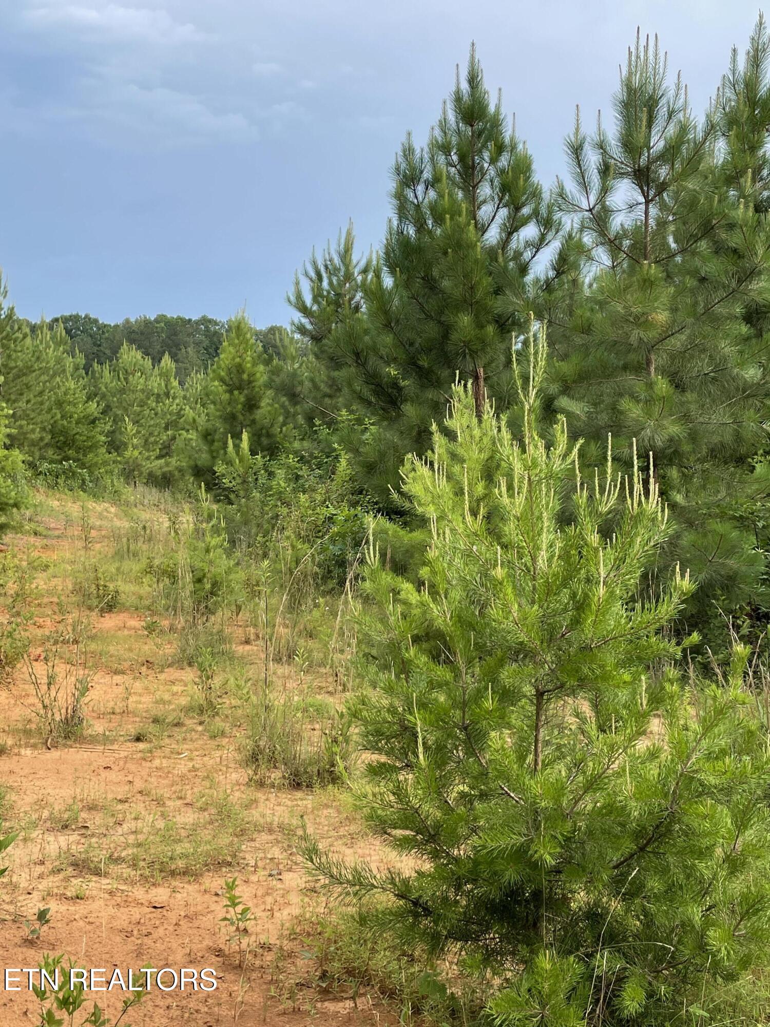Lot 51 Three Point Road Madisonville TN 37354