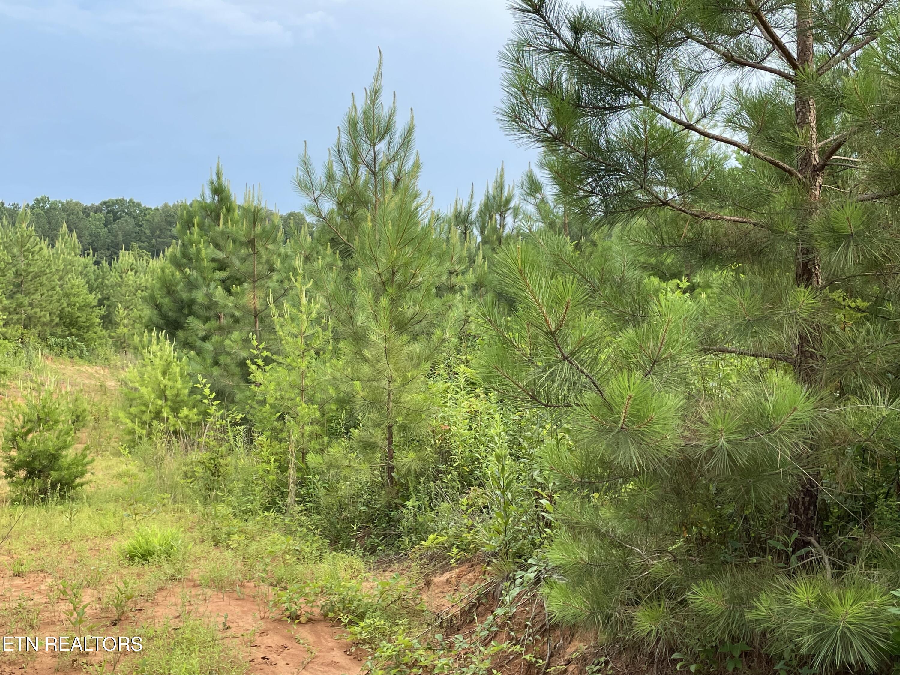 Lot 51 Three Point Road Madisonville TN 37354