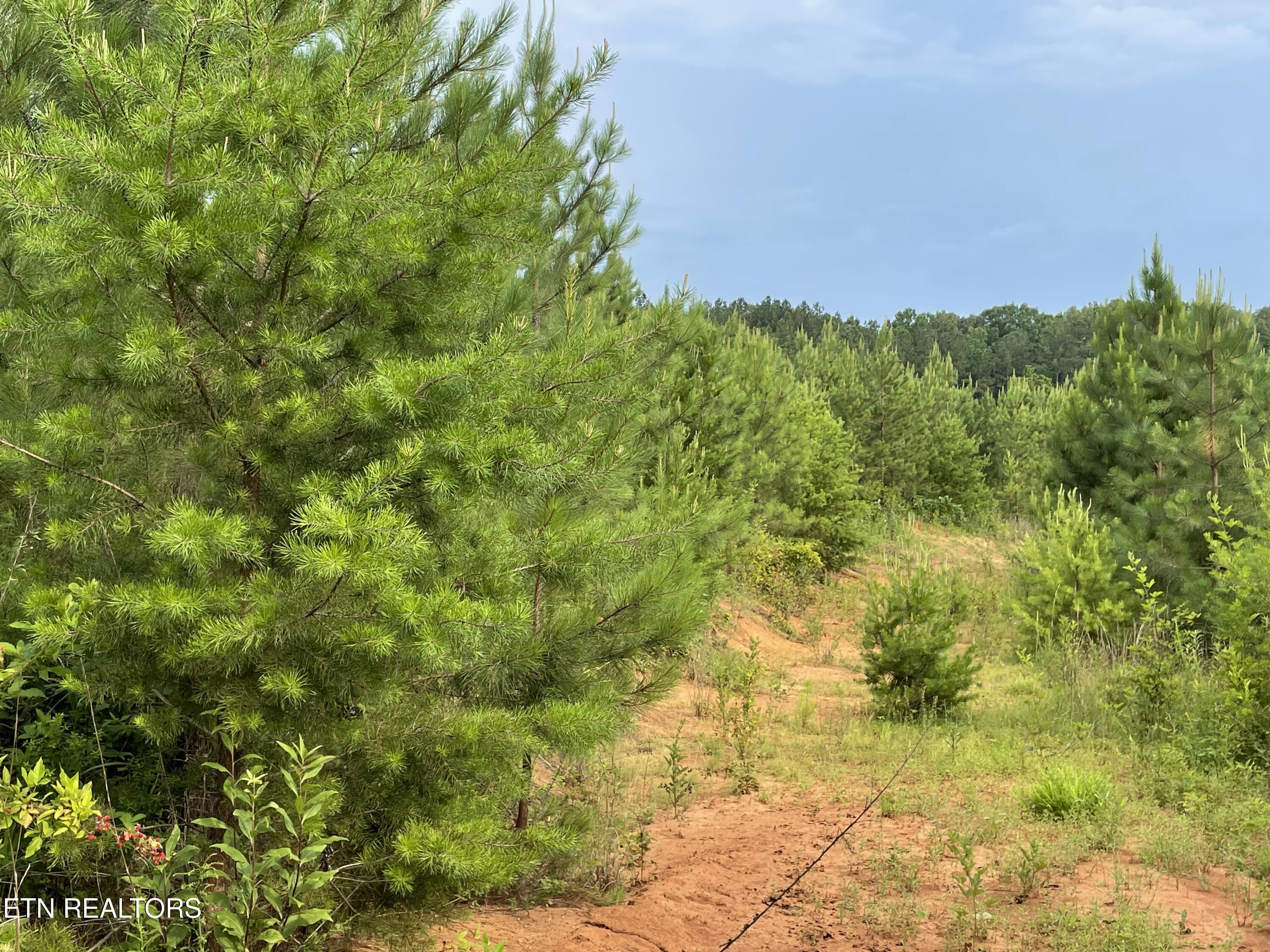 Lot 51 Three Point Road Madisonville TN 37354