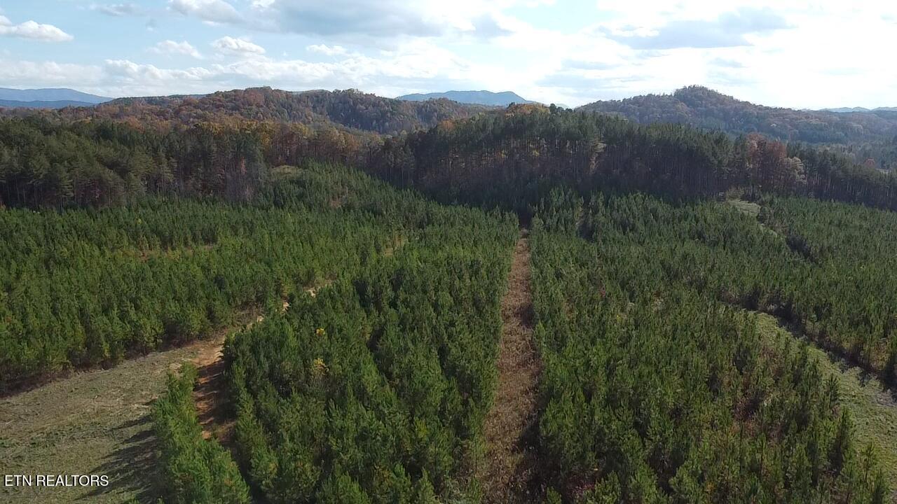 Lot 51 Three Point Road Madisonville TN 37354