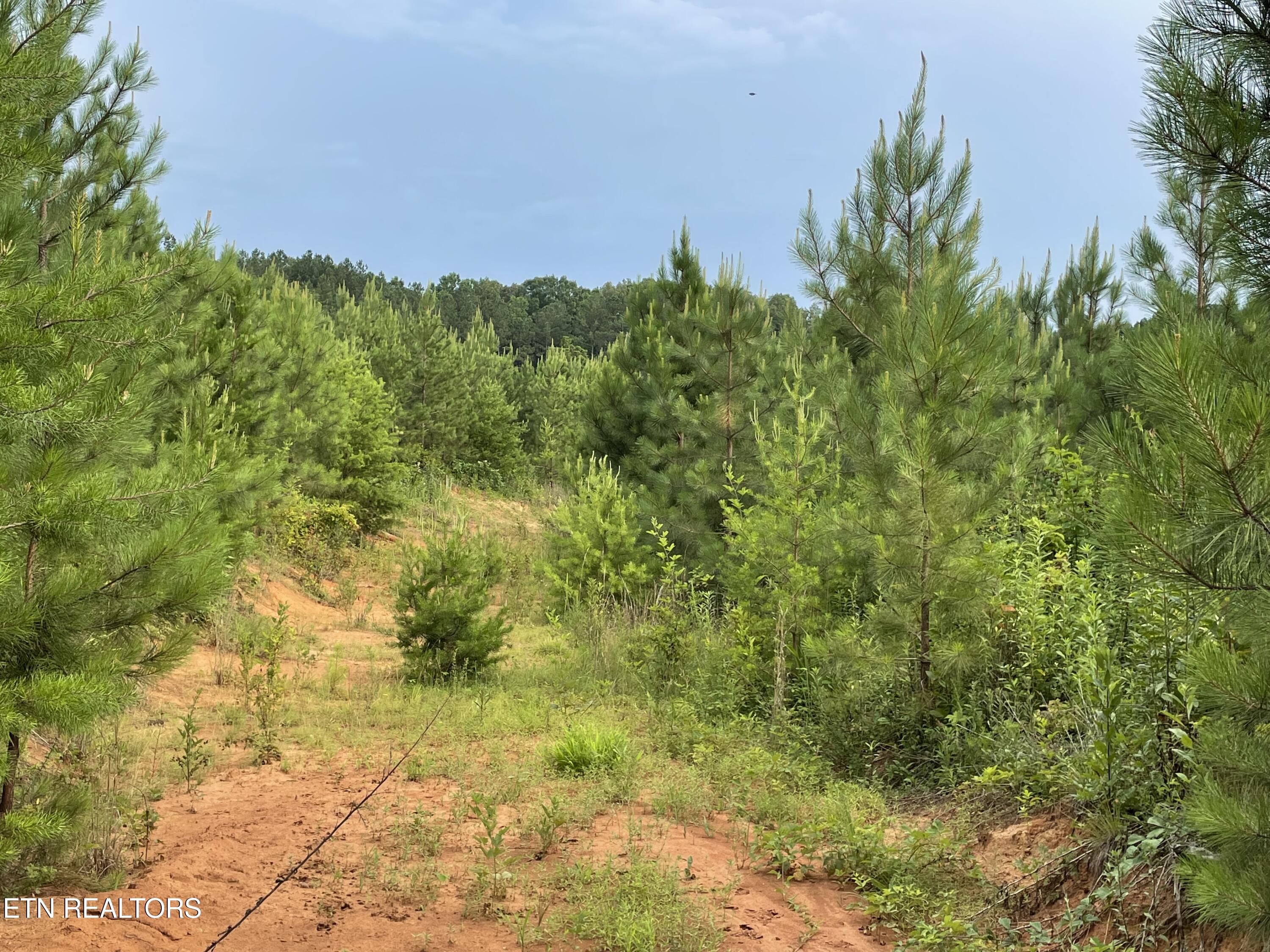 Lot 51 Three Point Road Madisonville TN 37354