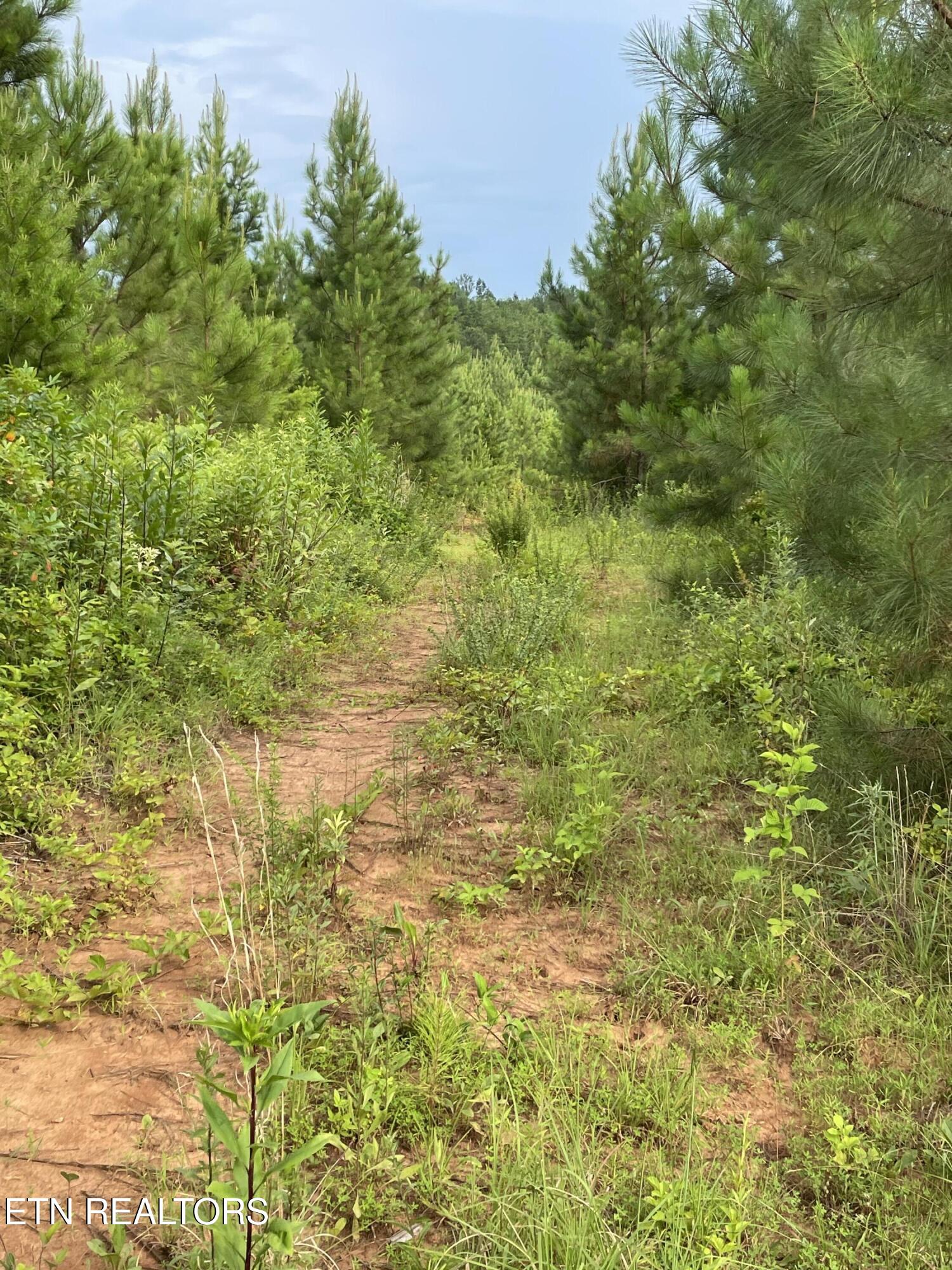 Lot 51 Three Point Road Madisonville TN 37354