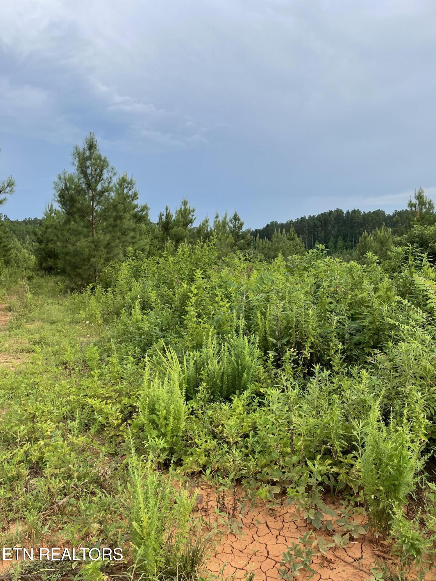 Lot 51 Three Point Road Madisonville TN 37354