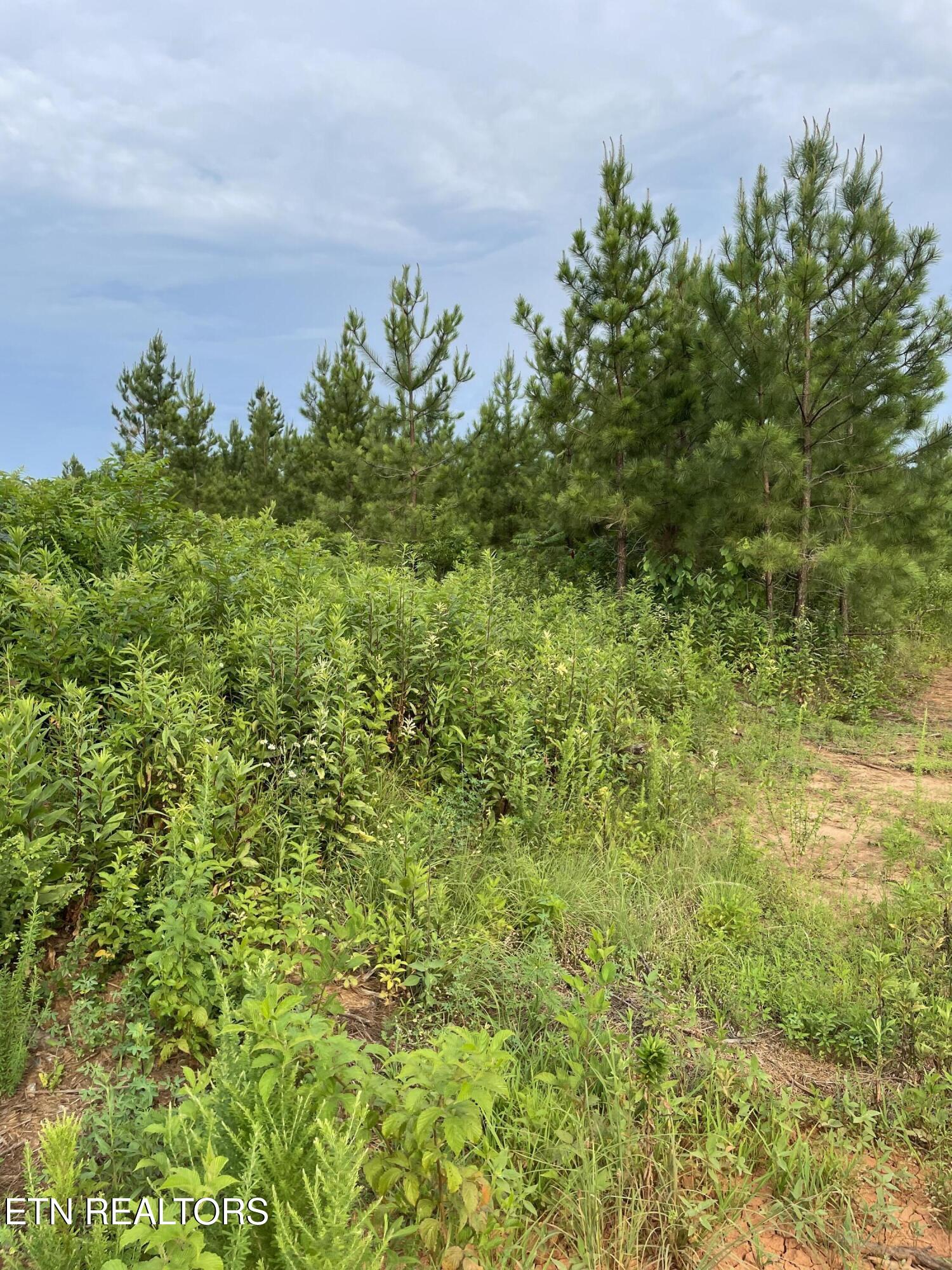Lot 51 Three Point Road Madisonville TN 37354