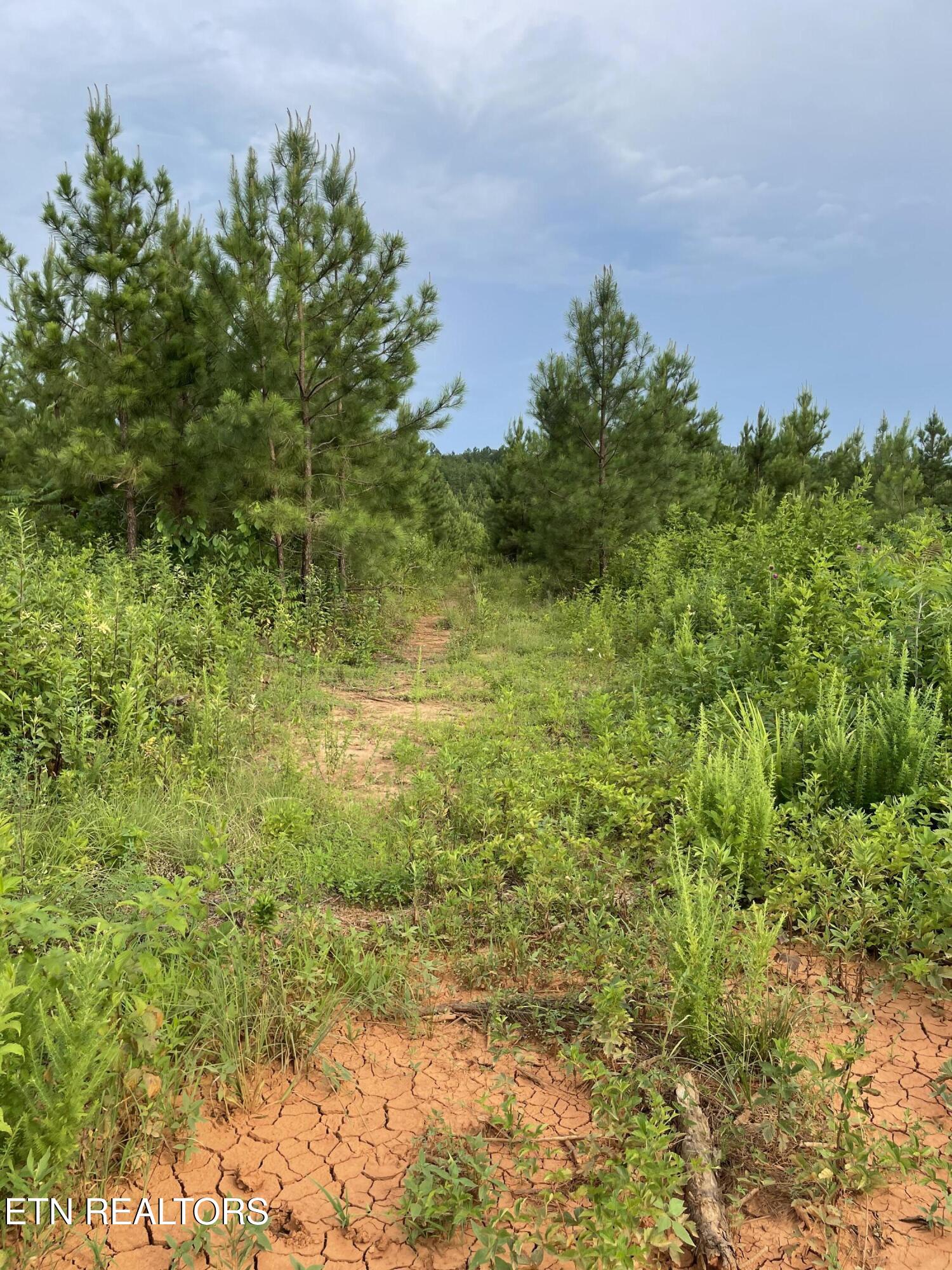 Lot 51 Three Point Road Madisonville TN 37354