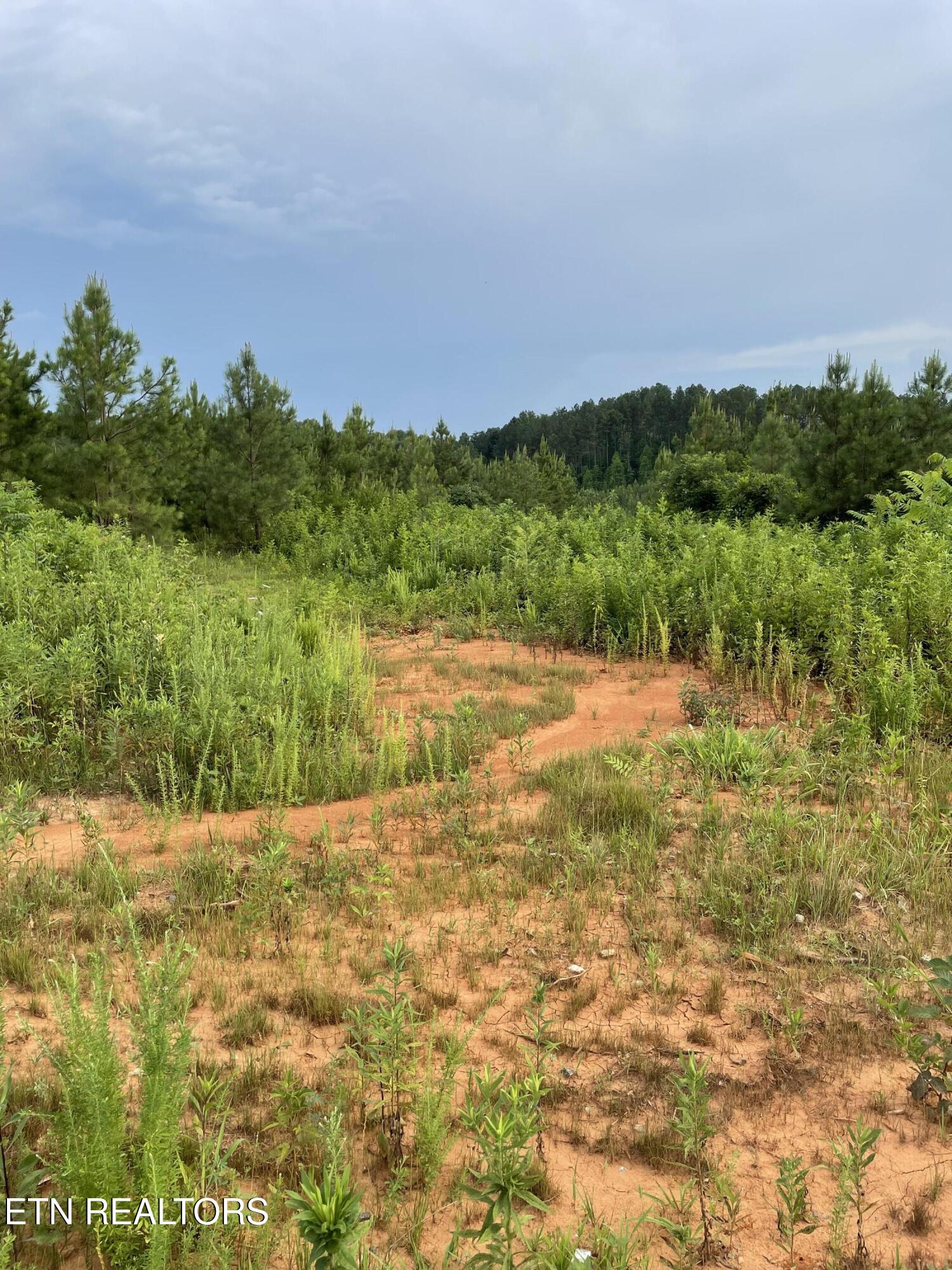 Lot 51 Three Point Road Madisonville TN 37354