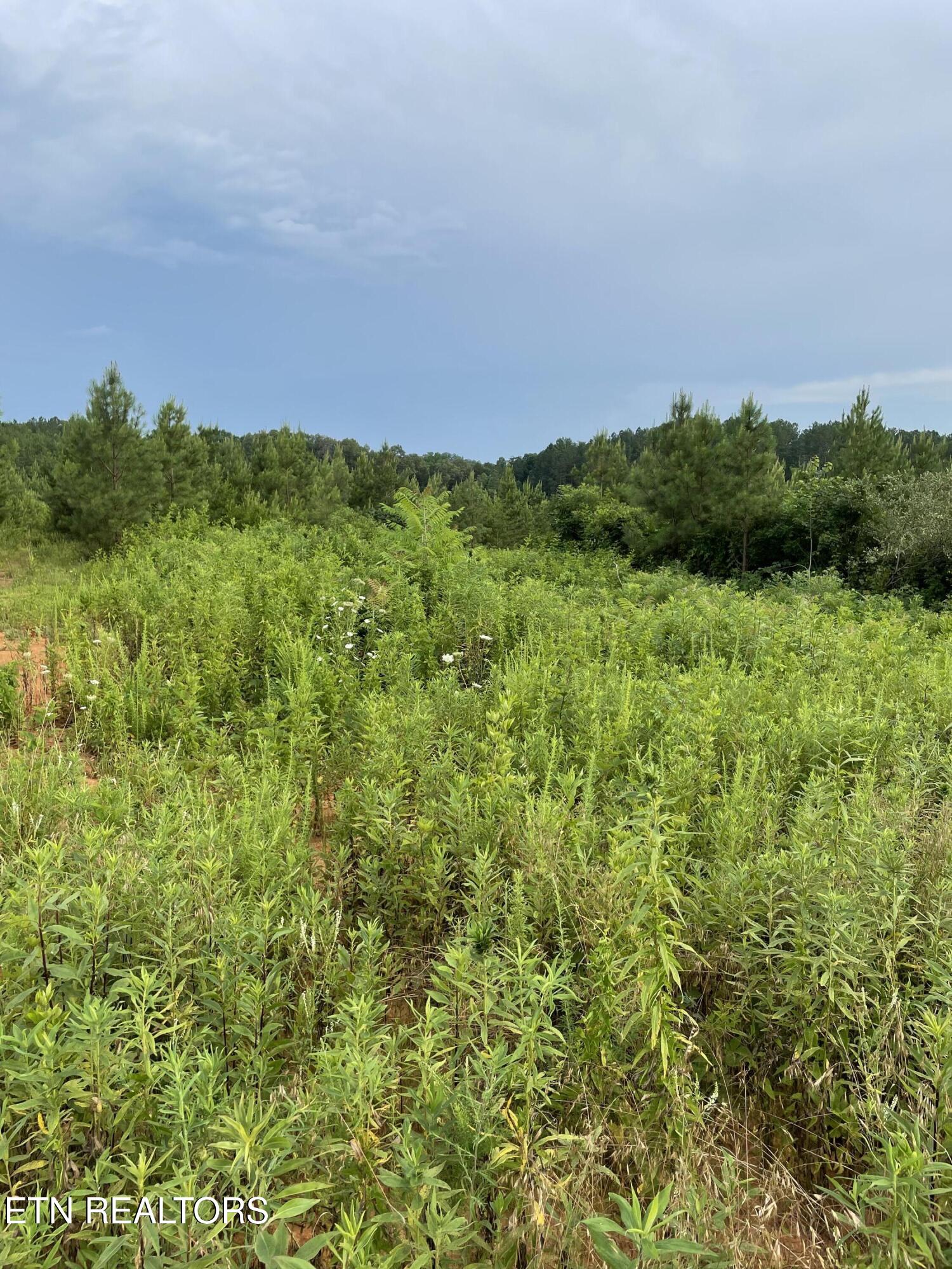 Lot 51 Three Point Road Madisonville TN 37354