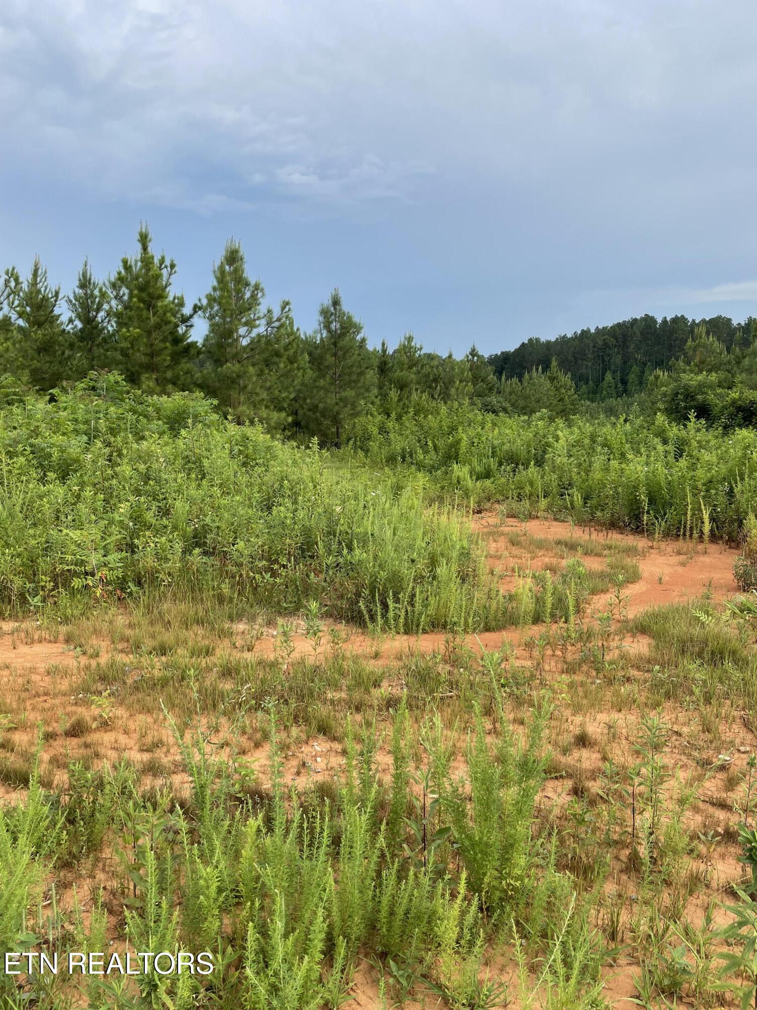 Lot 51 Three Point Road Madisonville TN 37354