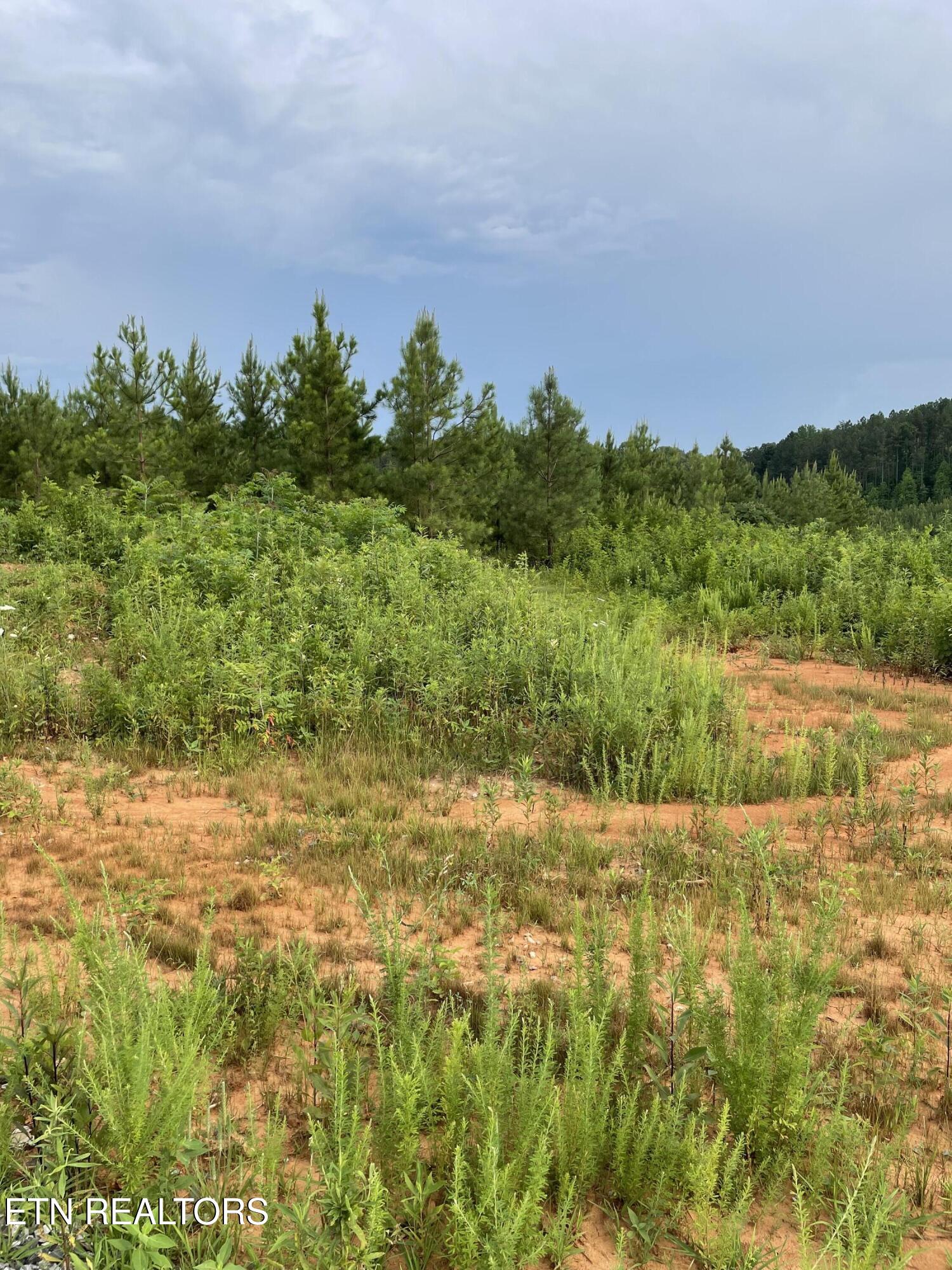 Lot 51 Three Point Road Madisonville TN 37354