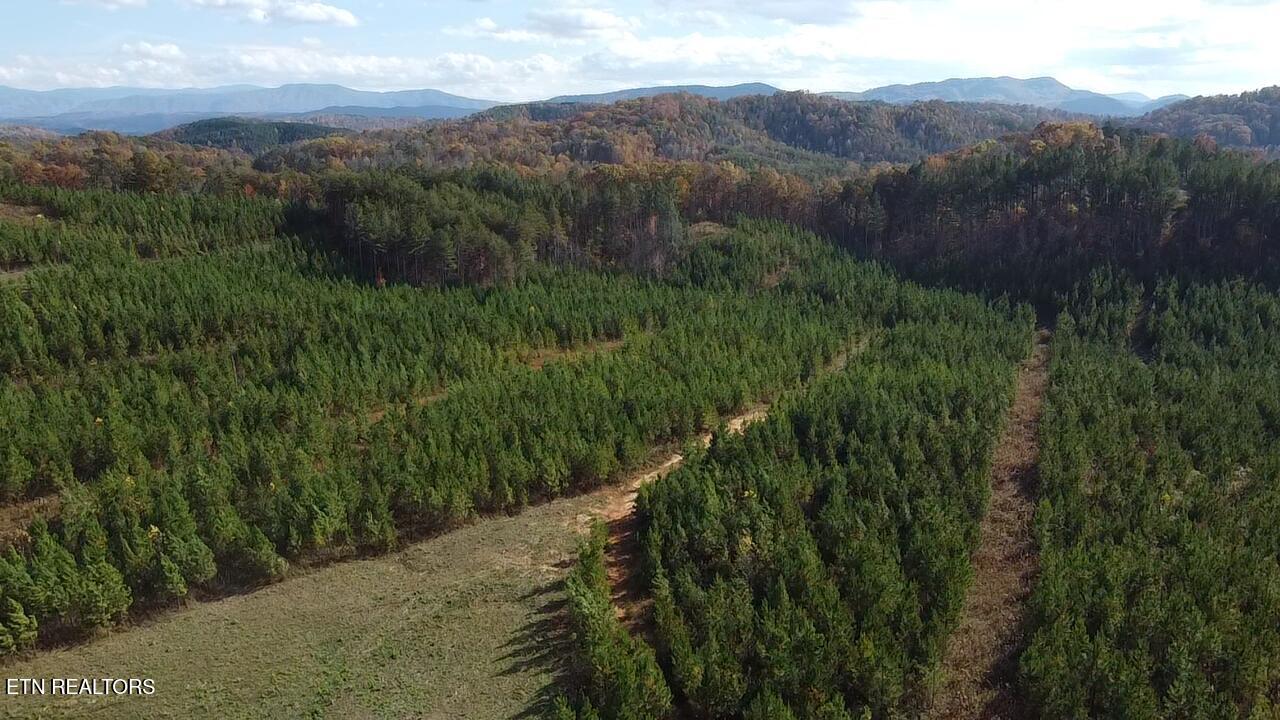 Lot 51 Three Point Road Madisonville TN 37354