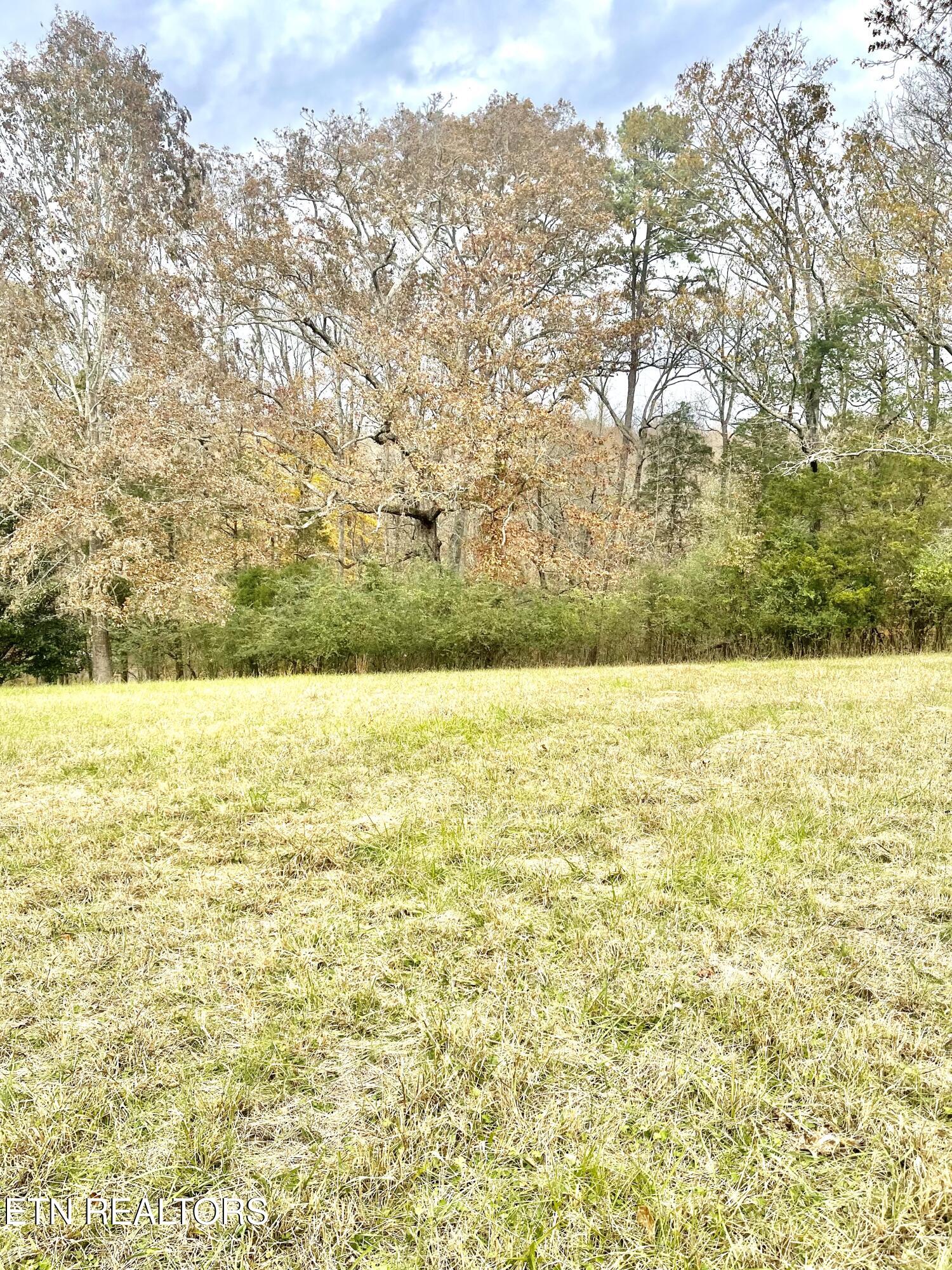 160 Brabson Court Kingston TN 37763