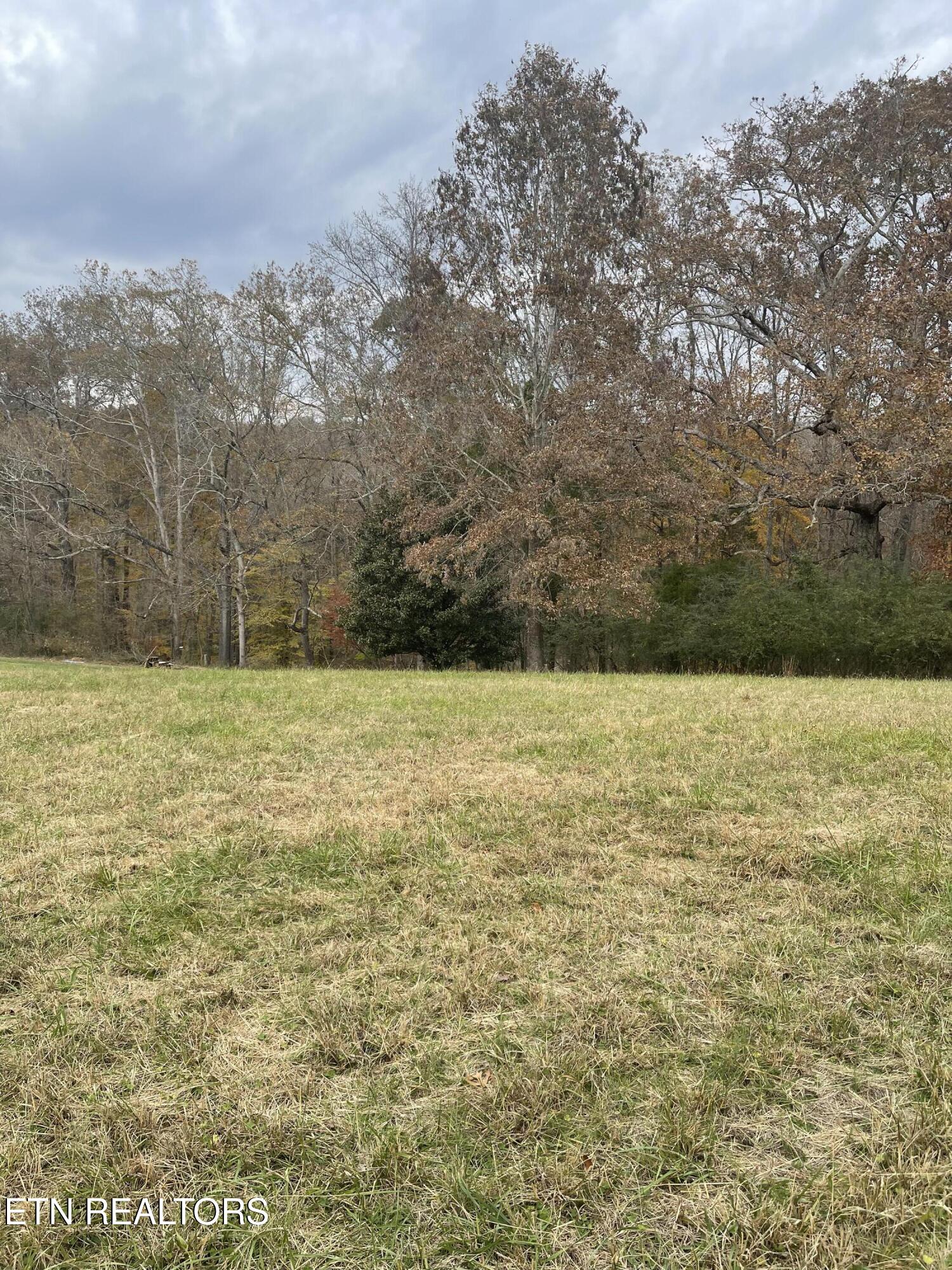 160 Brabson Court Kingston TN 37763