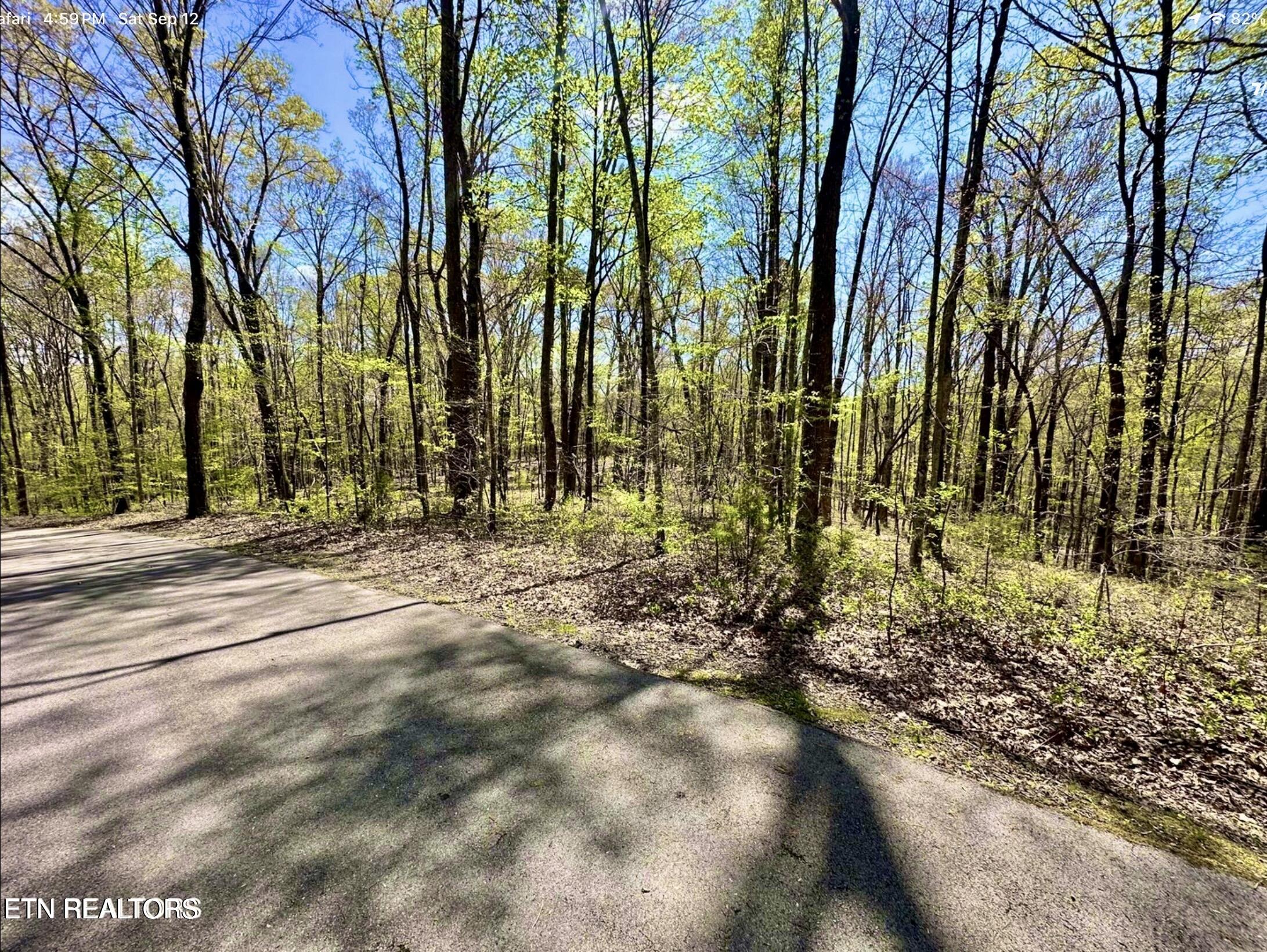 Reservoir Road Norris TN 37828