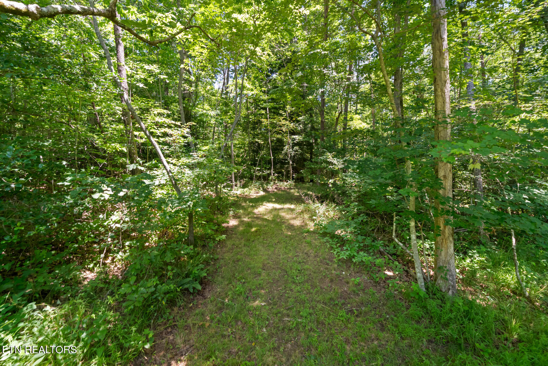 111 Seminole Circle Crossville TN 38572