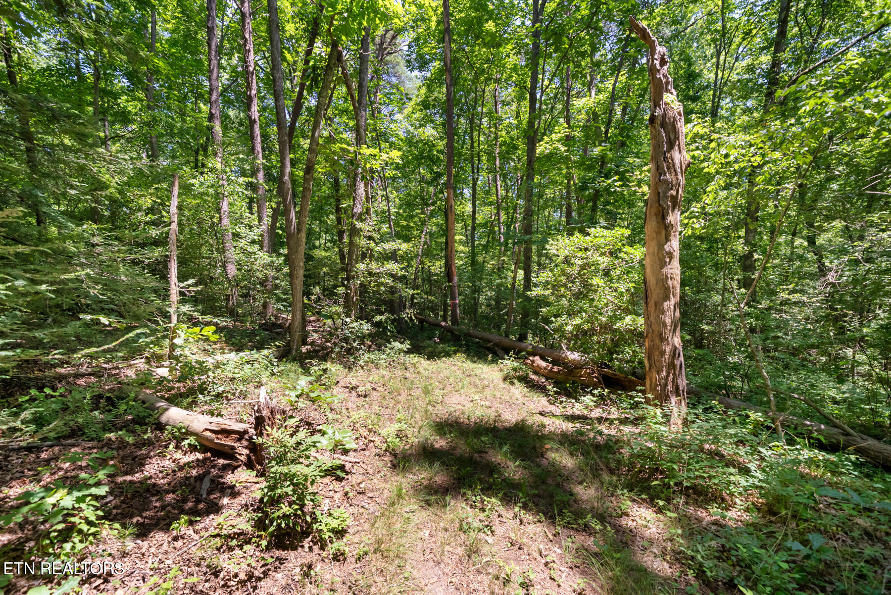 111 Seminole Circle Crossville TN 38572