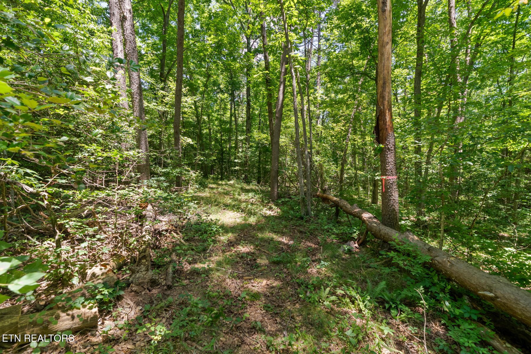 111 Seminole Circle Crossville TN 38572