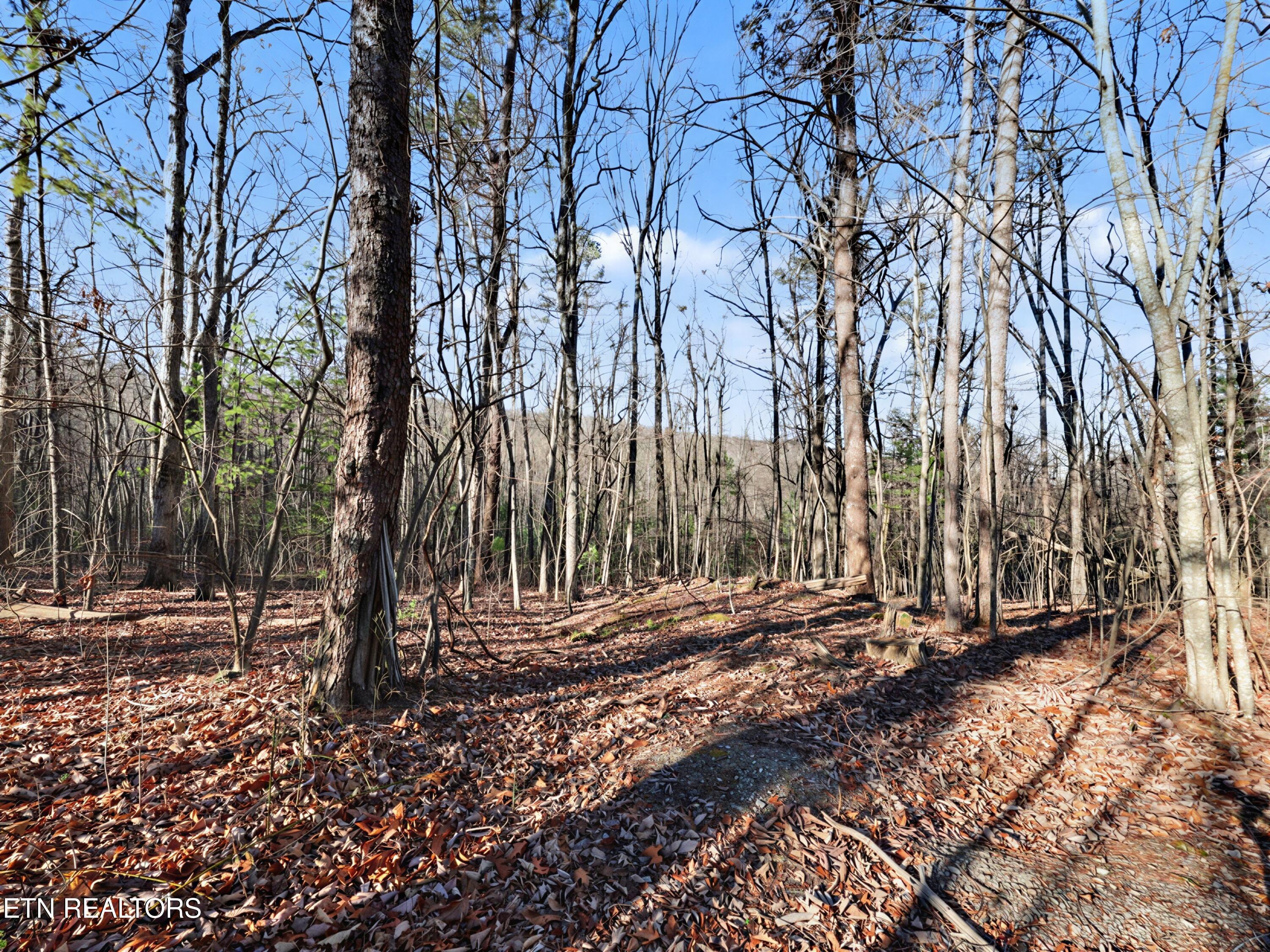 Avens Lane Tallassee TN 37878