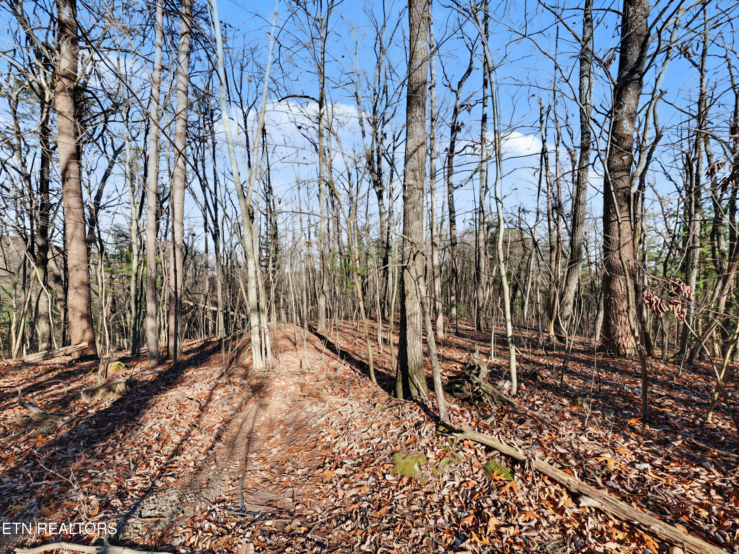 Avens Lane Tallassee TN 37878