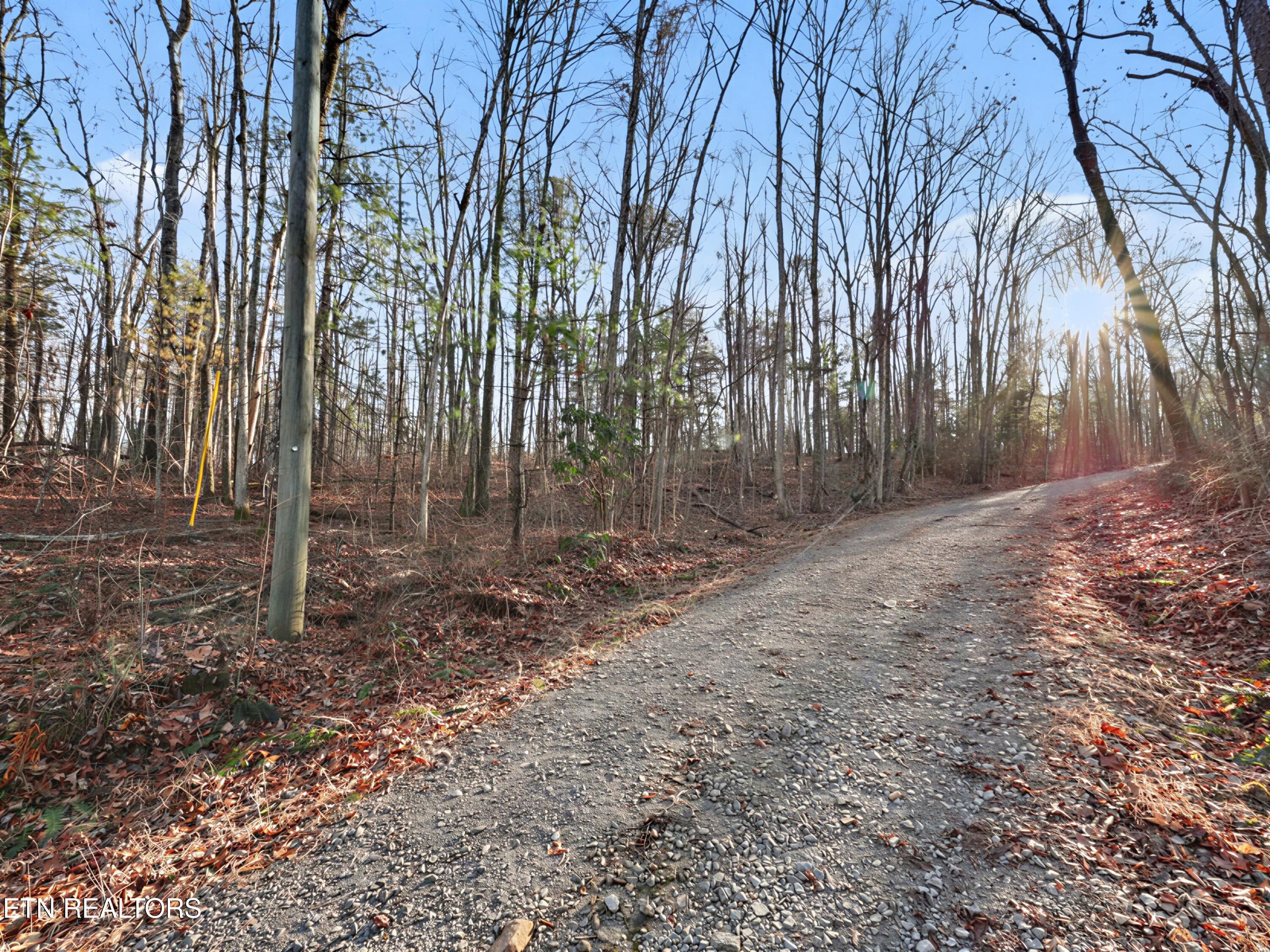 Avens Lane Tallassee TN 37878