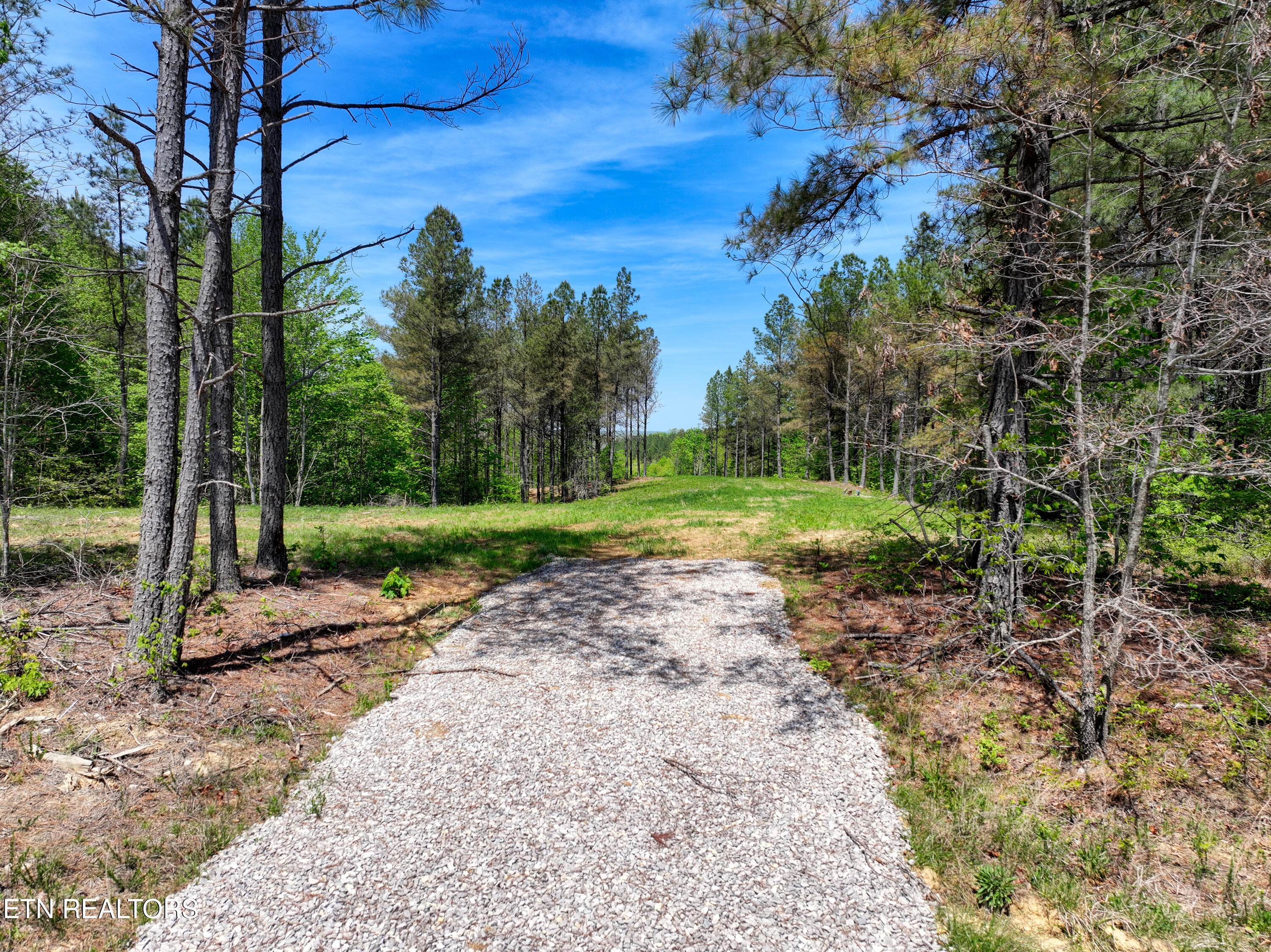 372 Stonecipher Court Sunbright TN 37872
